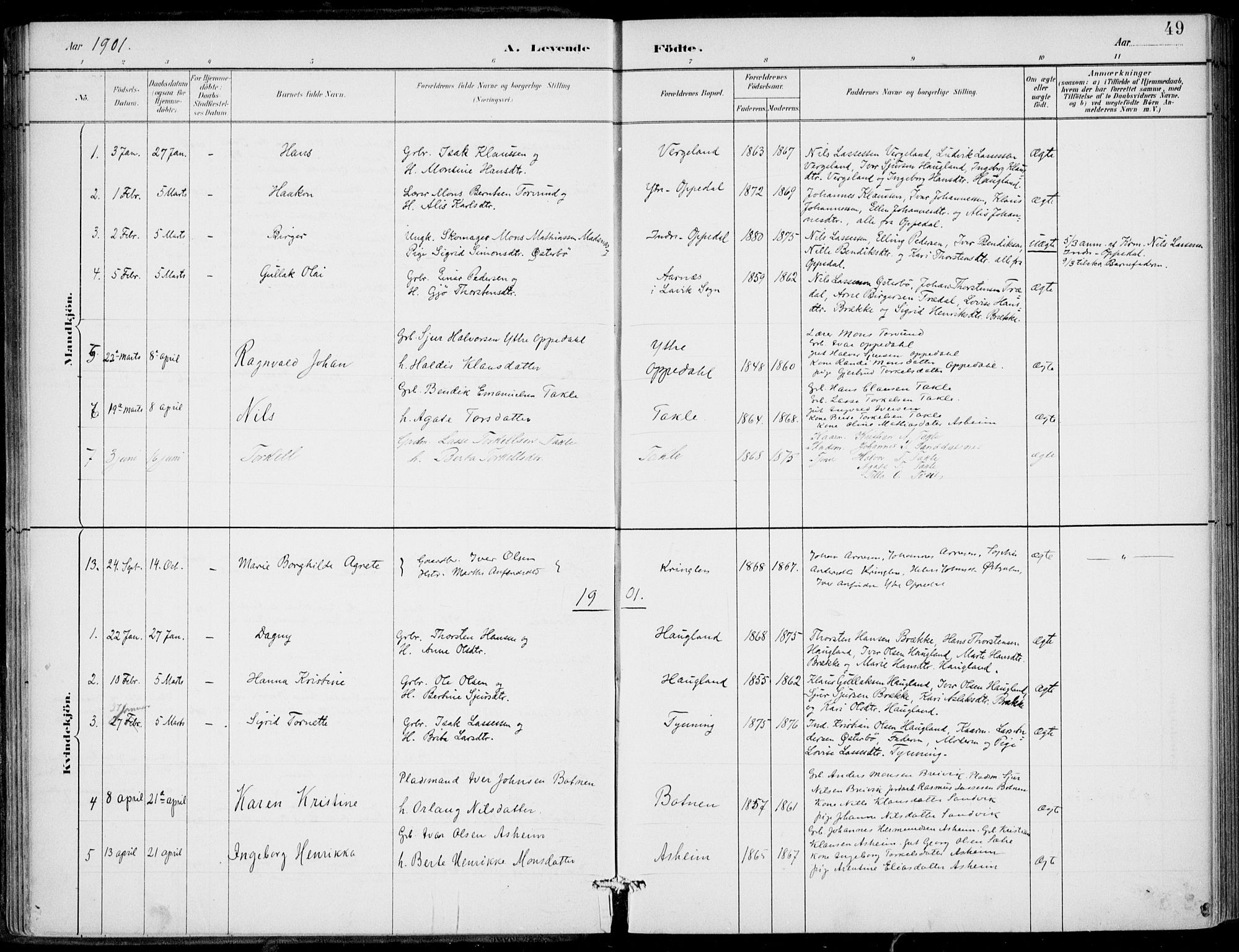 Gulen sokneprestembete, SAB/A-80201/H/Haa/Haac/L0002: Parish register (official) no. C  2, 1882-1914, p. 49