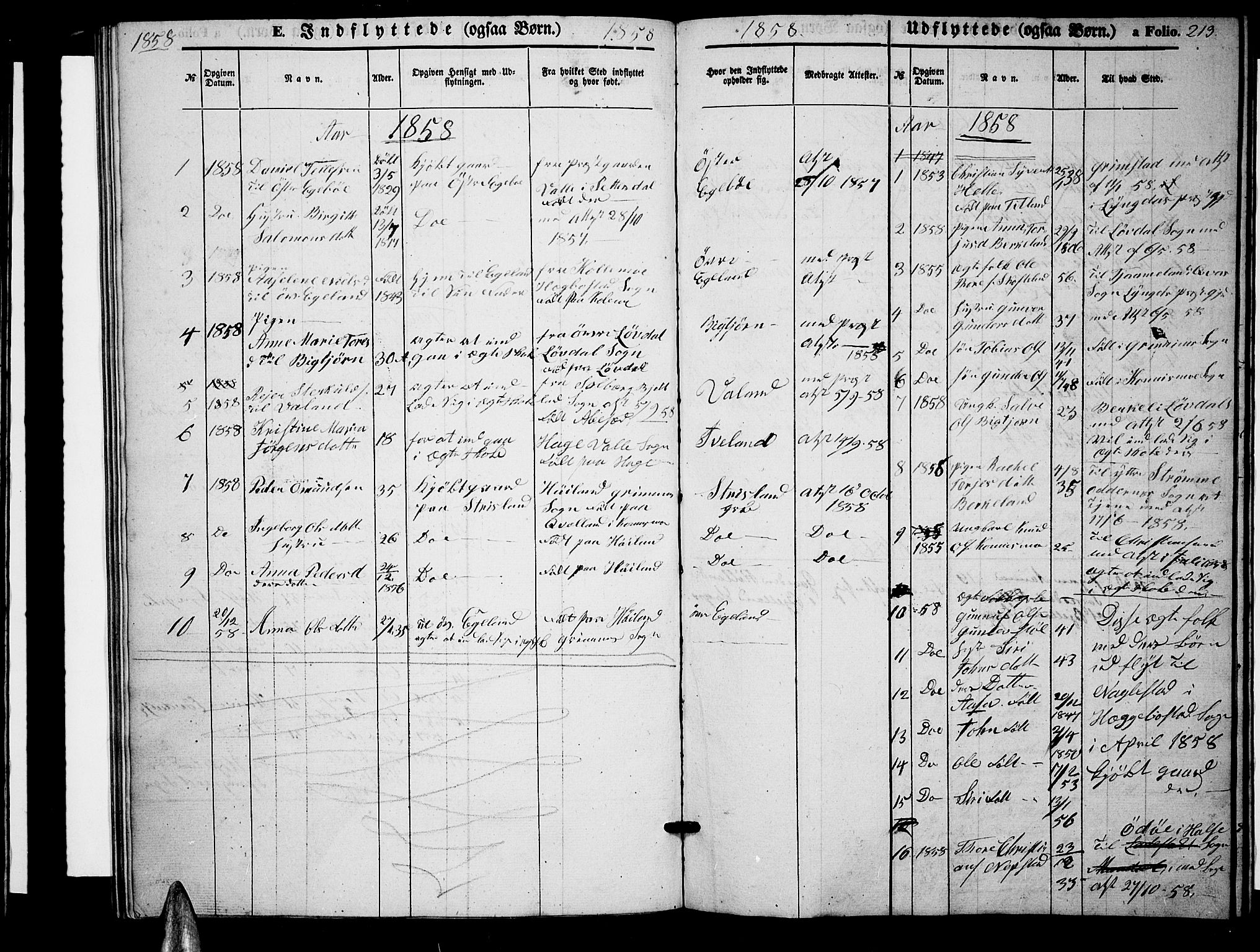 Nord-Audnedal sokneprestkontor, AV/SAK-1111-0032/F/Fb/Fba/L0002: Parish register (copy) no. B 2, 1856-1882, p. 213