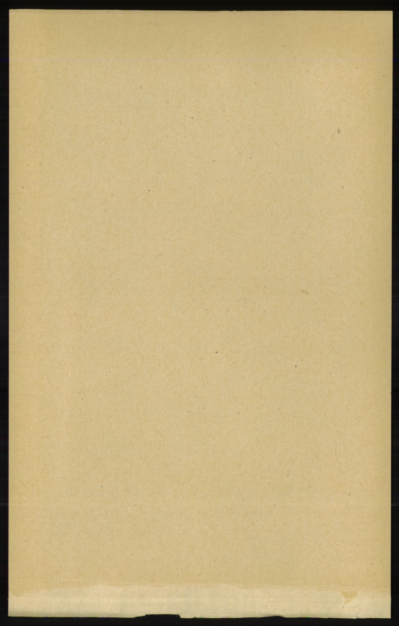 RA, 1891 census for 1154 Skjold, 1891, p. 2399