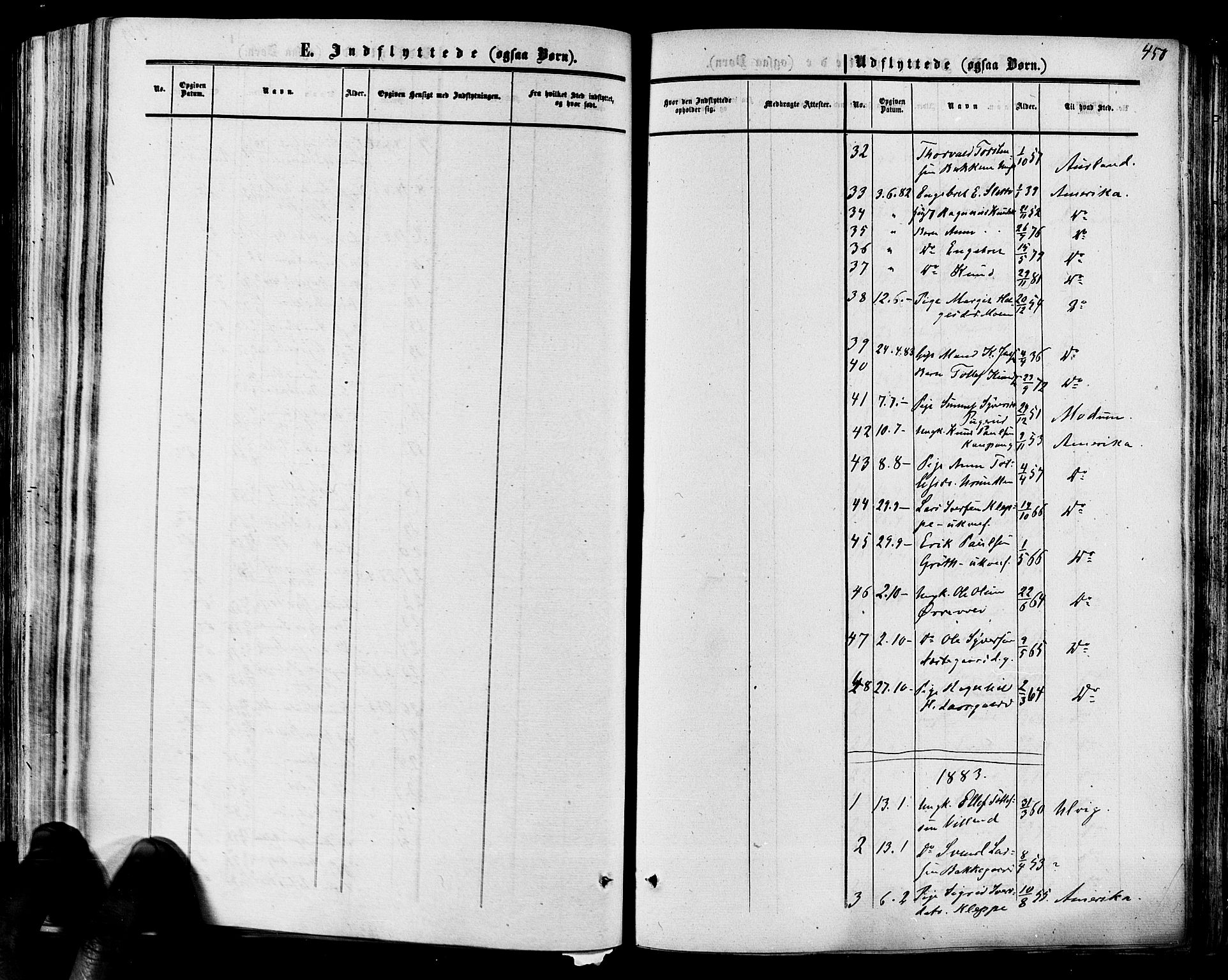 Hol kirkebøker, AV/SAKO-A-227/F/Fa/L0002: Parish register (official) no. I 2, 1870-1886, p. 450