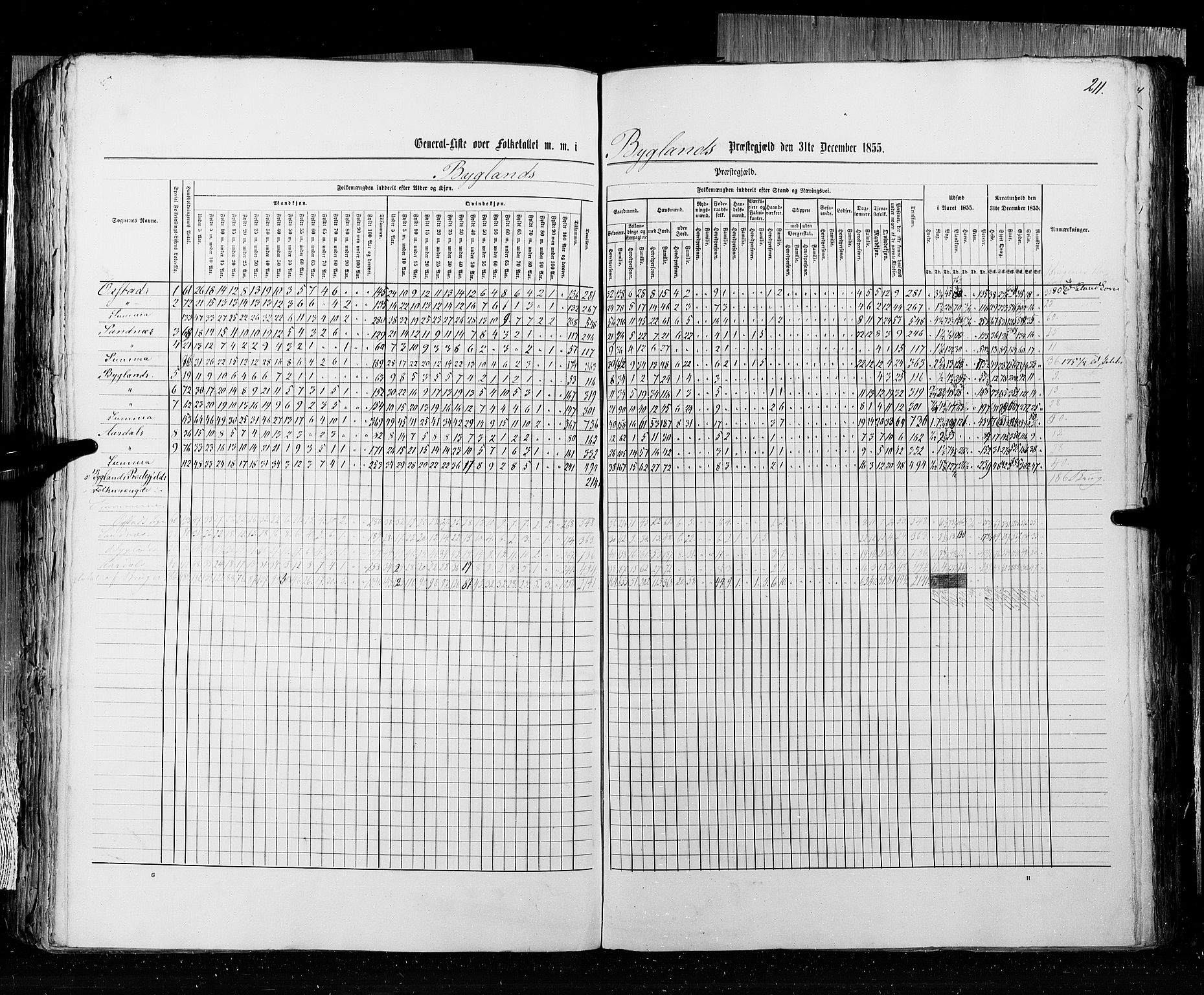 RA, Census 1855, vol. 3: Bratsberg amt, Nedenes amt og Lister og Mandal amt, 1855, p. 211