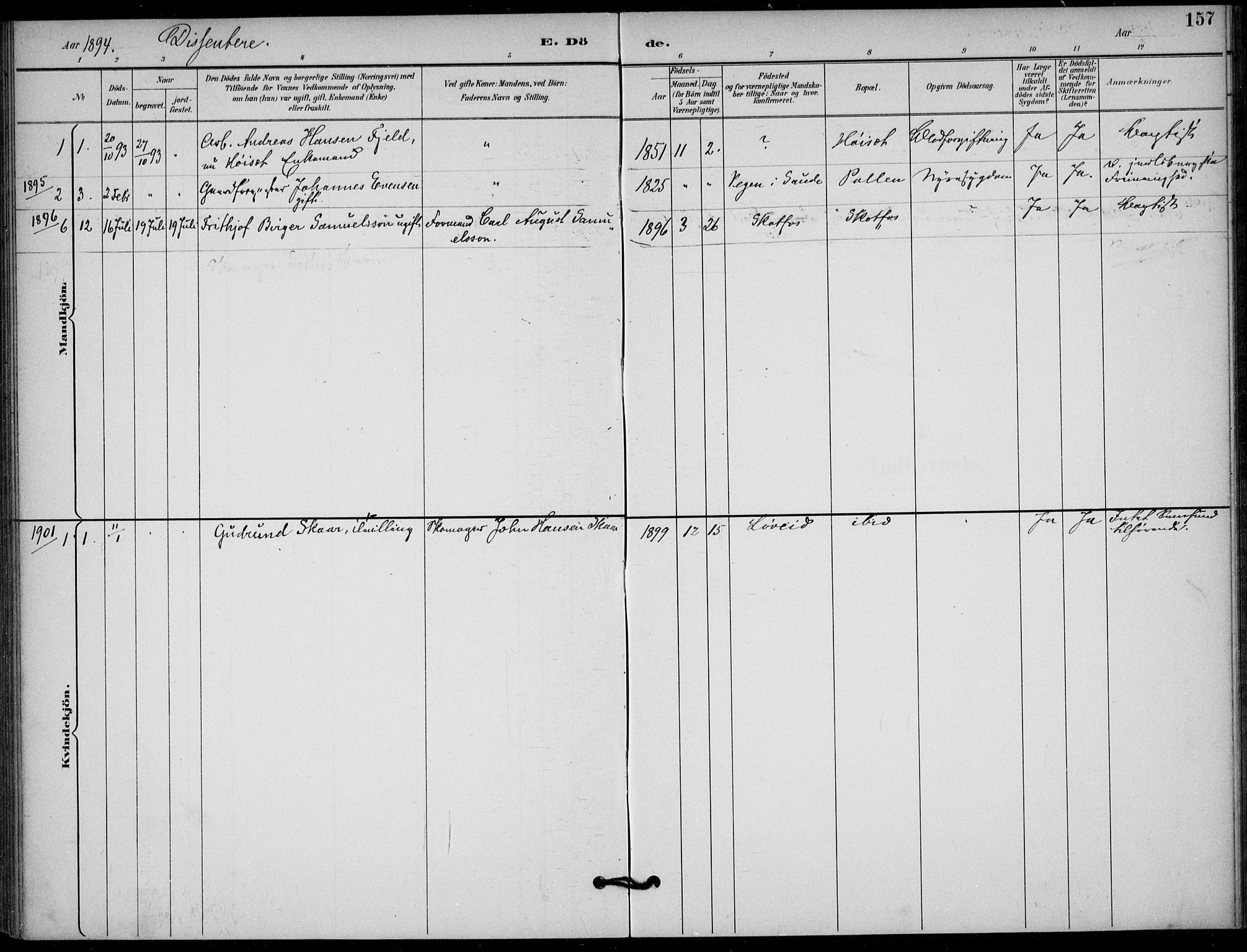 Solum kirkebøker, SAKO/A-306/F/Fb/L0002: Parish register (official) no. II 2, 1893-1901, p. 157