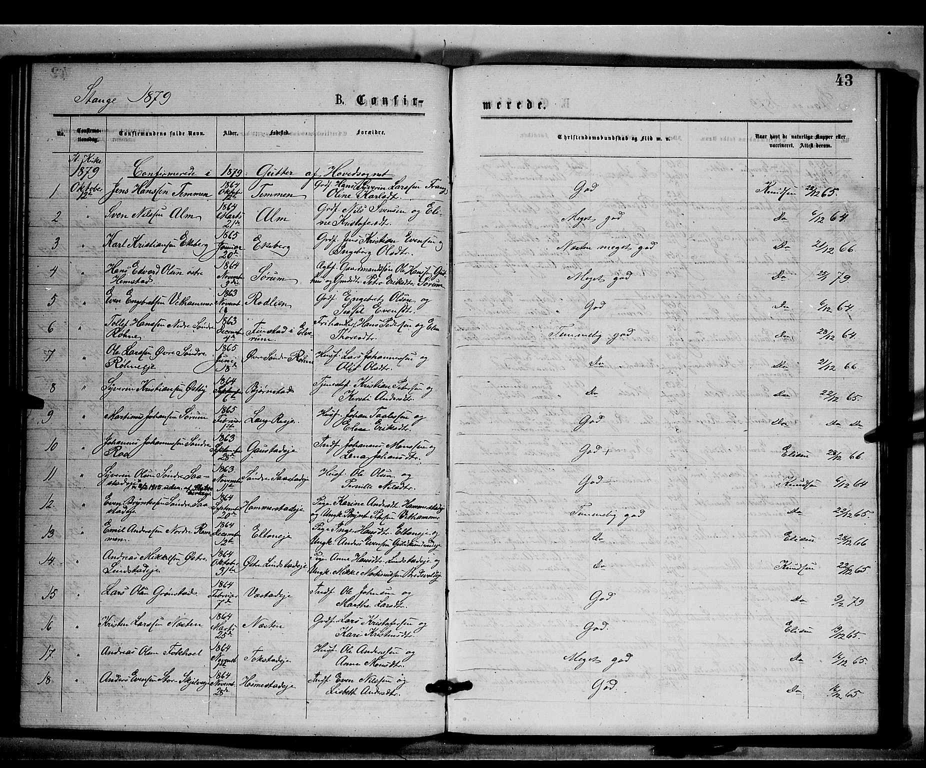 Stange prestekontor, AV/SAH-PREST-002/K/L0016: Parish register (official) no. 16, 1874-1879, p. 43