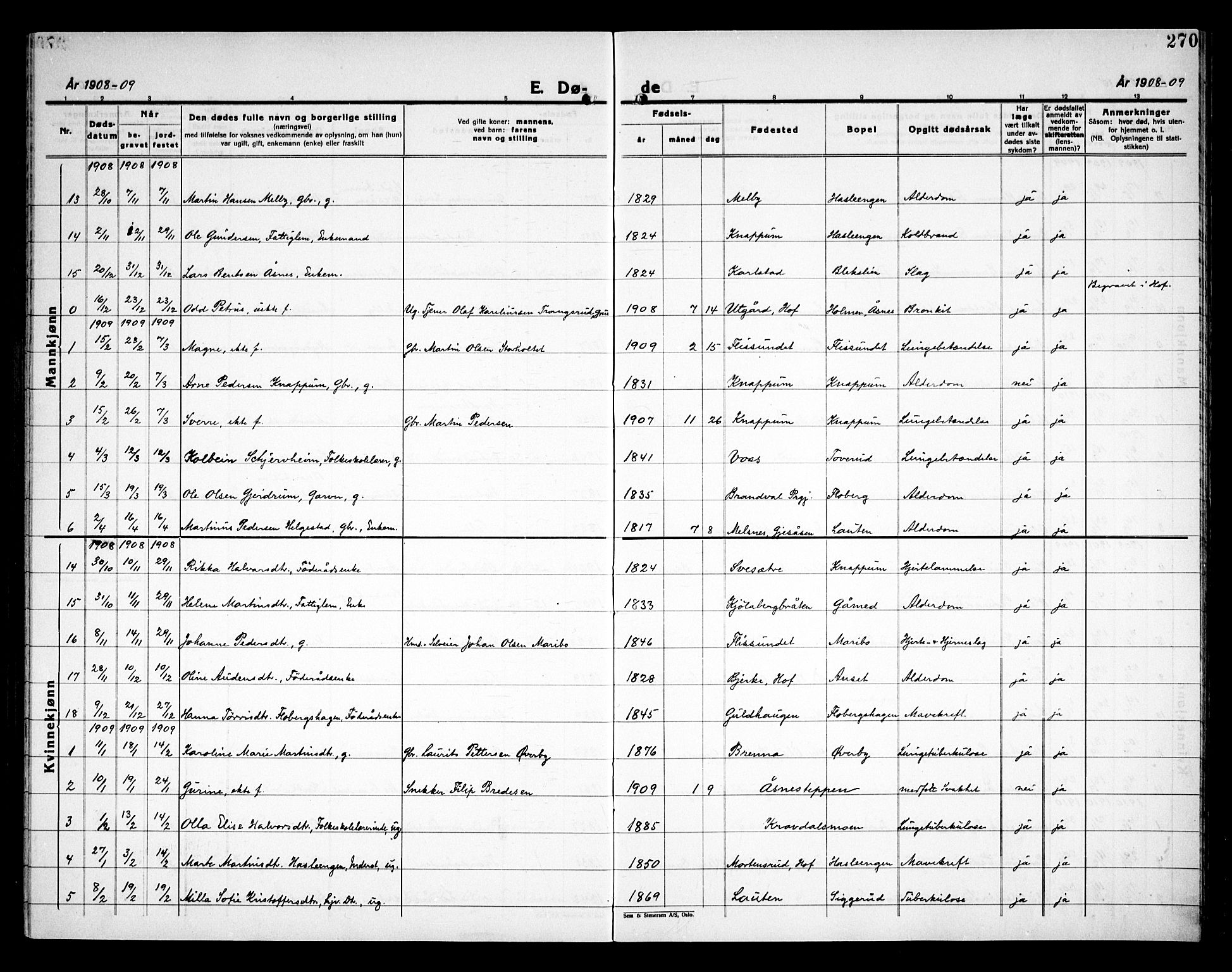 Åsnes prestekontor, SAH/PREST-042/H/Ha/Haa/L0000C: Parish register (official) no. 0A, 1890-1929, p. 270