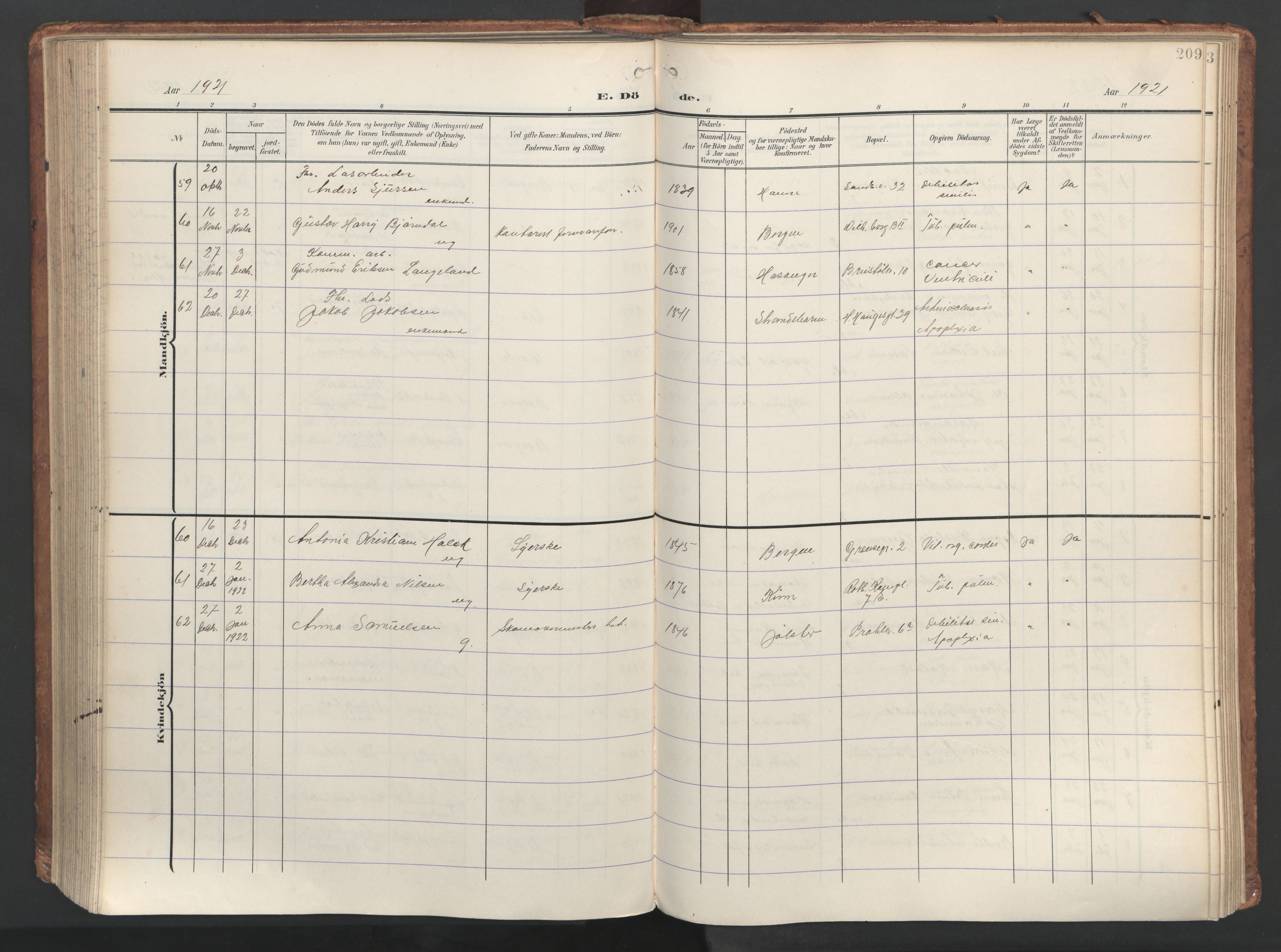 Sandviken Sokneprestembete, AV/SAB-A-77601/H/Ha/L0019: Parish register (official) no. E 2, 1905-1933, p. 209