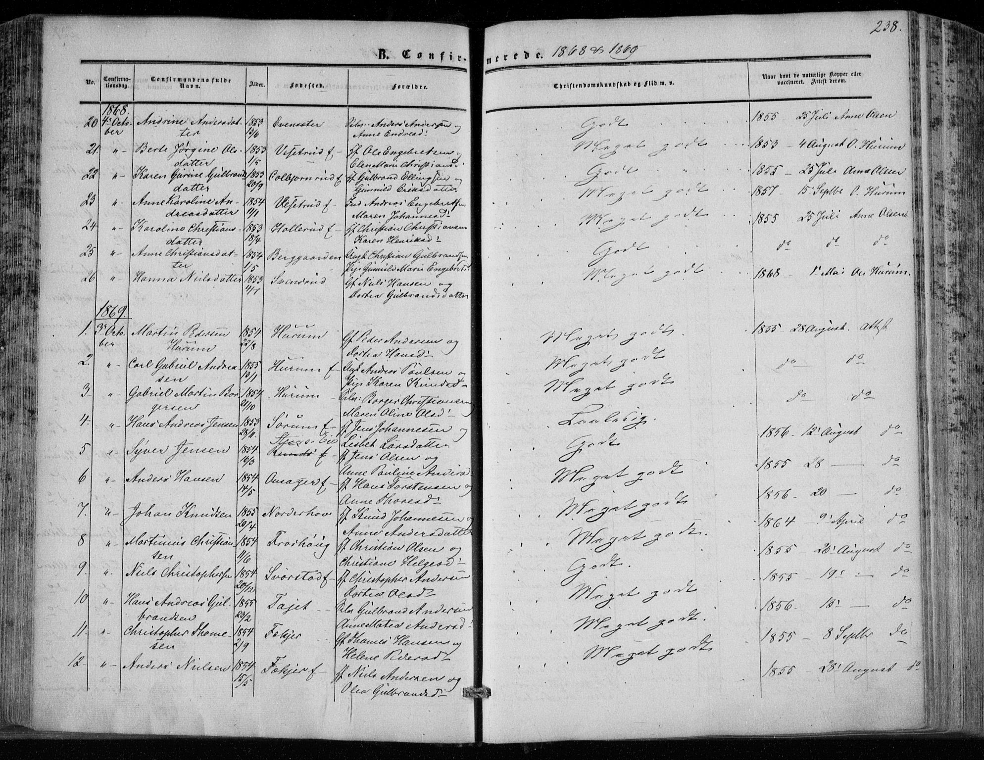 Hole kirkebøker, SAKO/A-228/F/Fa/L0006: Parish register (official) no. I 6, 1852-1872, p. 238
