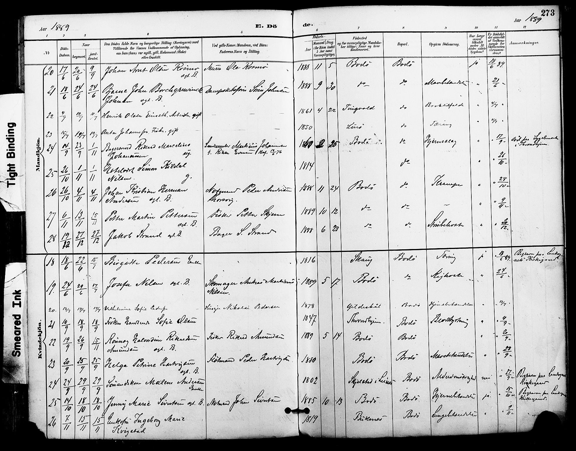 Ministerialprotokoller, klokkerbøker og fødselsregistre - Nordland, AV/SAT-A-1459/801/L0010: Parish register (official) no. 801A10, 1888-1899, p. 273