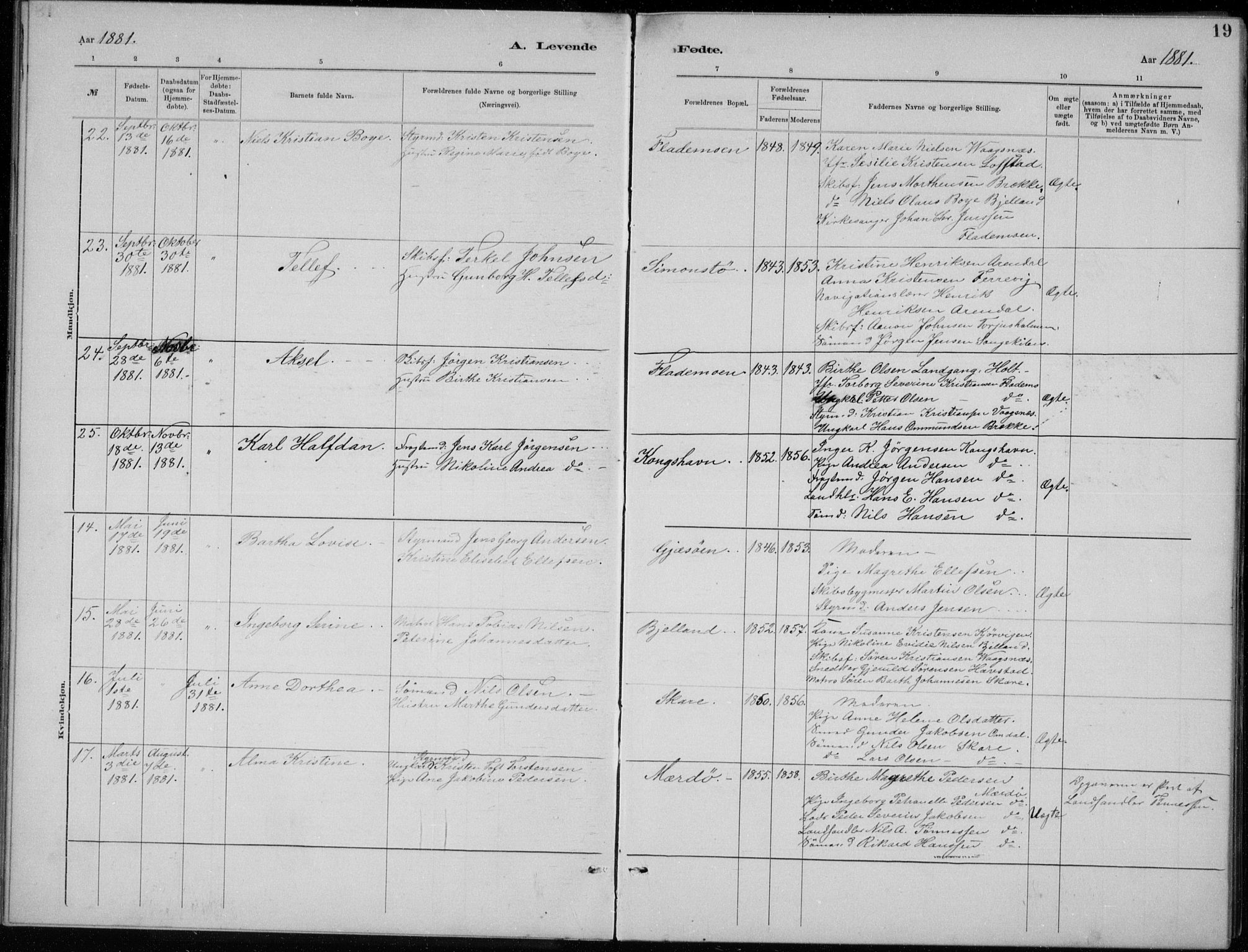 Tromøy sokneprestkontor, SAK/1111-0041/F/Fb/L0005: Parish register (copy) no. B 5, 1877-1891, p. 19