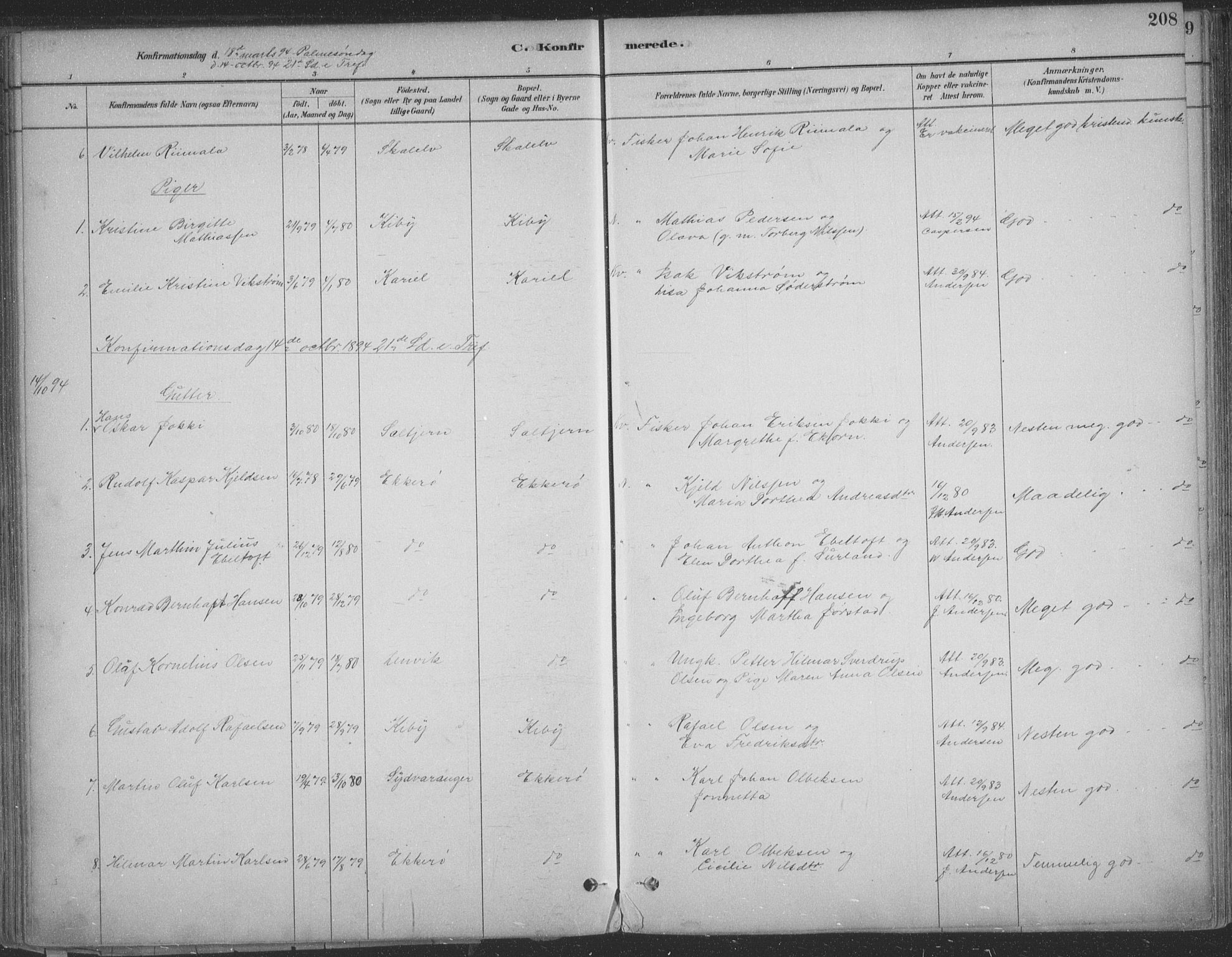 Vadsø sokneprestkontor, SATØ/S-1325/H/Ha/L0009kirke: Parish register (official) no. 9, 1881-1917, p. 208