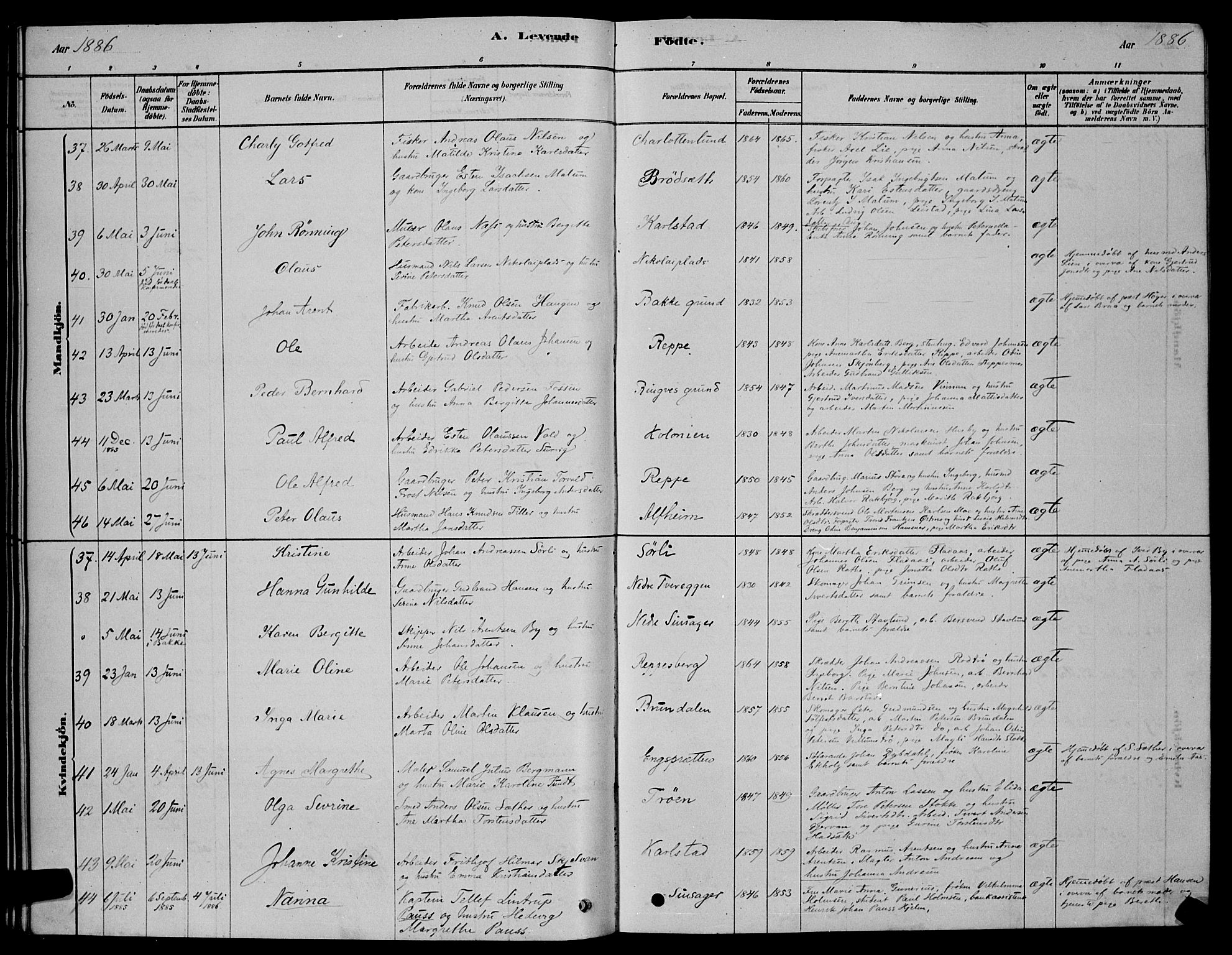 Ministerialprotokoller, klokkerbøker og fødselsregistre - Sør-Trøndelag, AV/SAT-A-1456/606/L0312: Parish register (copy) no. 606C08, 1878-1894
