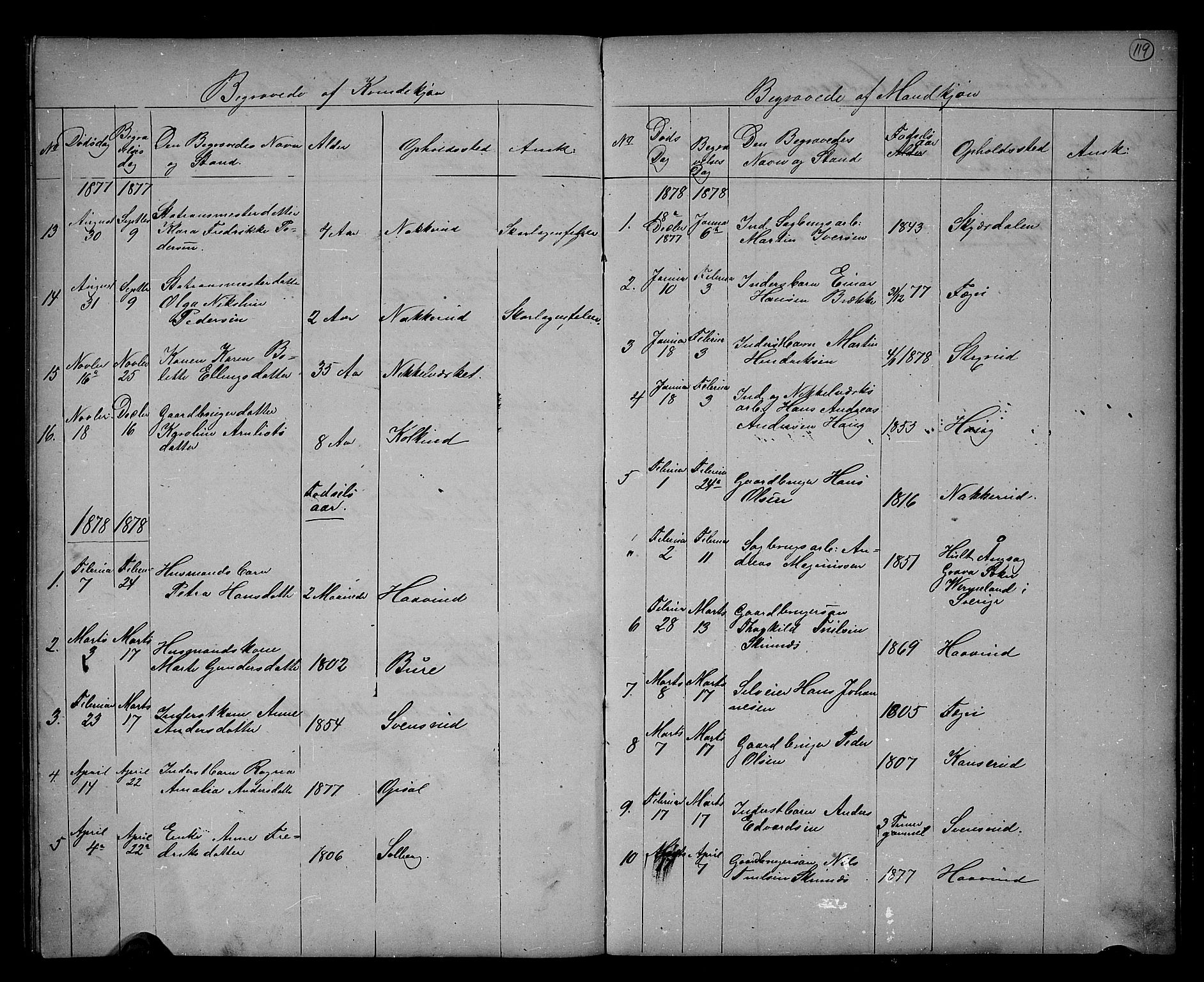 Hole kirkebøker, AV/SAKO-A-228/G/Gb/L0001: Parish register (copy) no. II 1, 1859-1878, p. 119