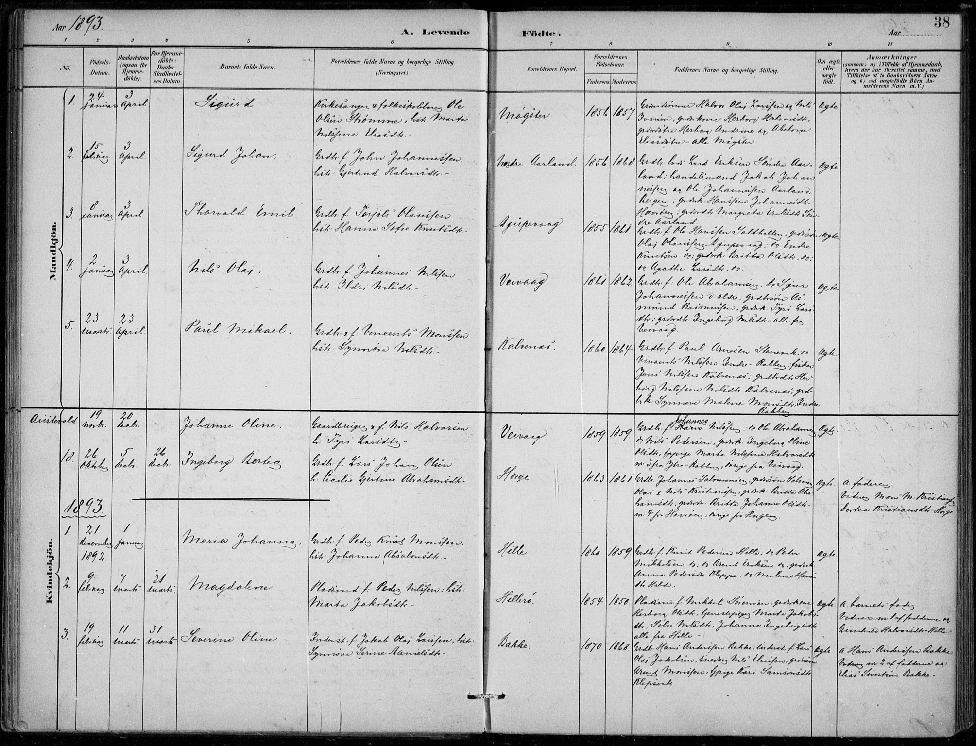 Sund sokneprestembete, AV/SAB-A-99930: Parish register (official) no. D 1, 1882-1899, p. 38