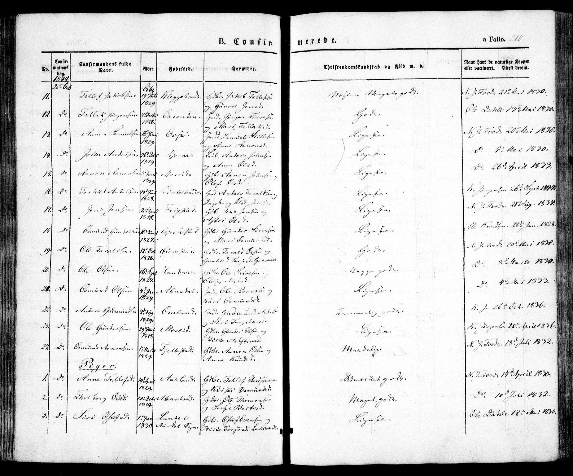 Evje sokneprestkontor, AV/SAK-1111-0008/F/Fa/Faa/L0005: Parish register (official) no. A 5, 1843-1865, p. 210