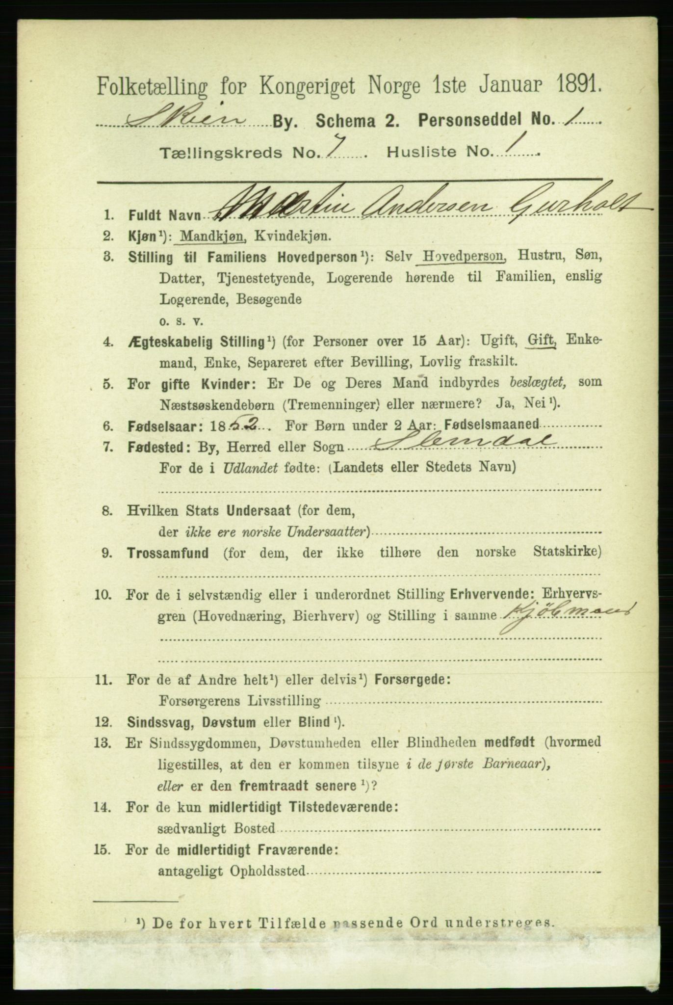 RA, 1891 census for 0806 Skien, 1891, p. 3134