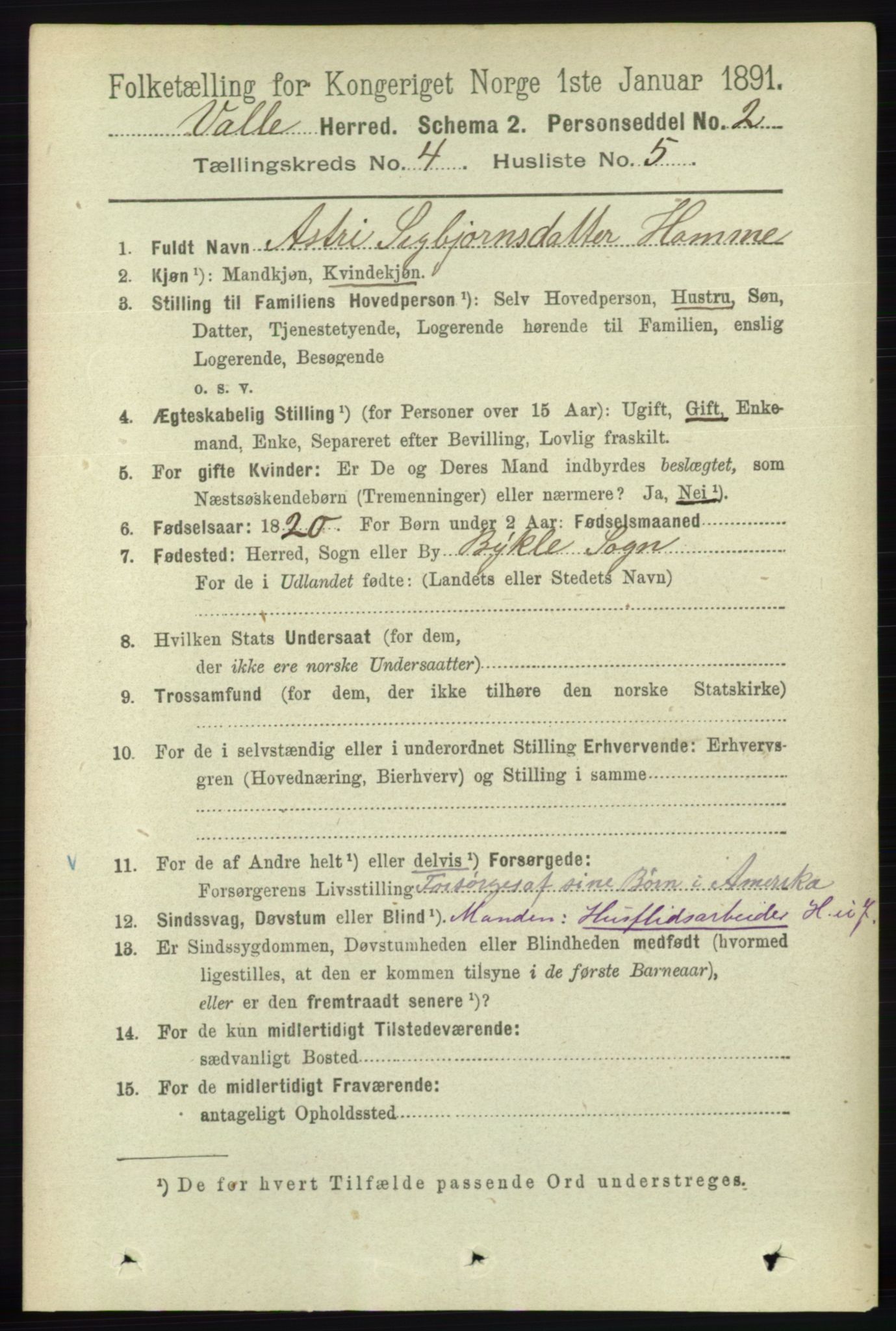 RA, 1891 census for 0940 Valle, 1891, p. 1018