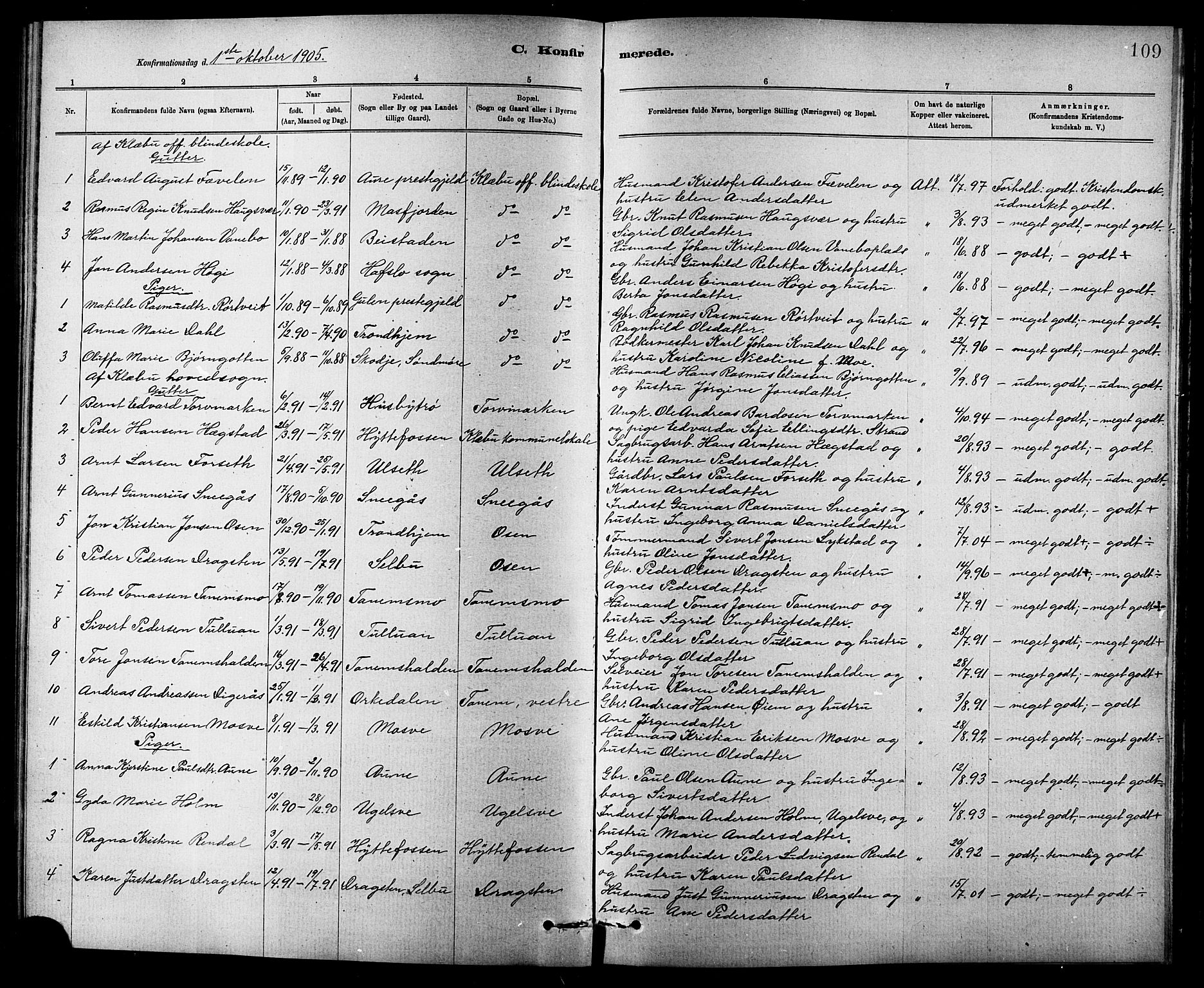Ministerialprotokoller, klokkerbøker og fødselsregistre - Sør-Trøndelag, SAT/A-1456/618/L0452: Parish register (copy) no. 618C03, 1884-1906, p. 109