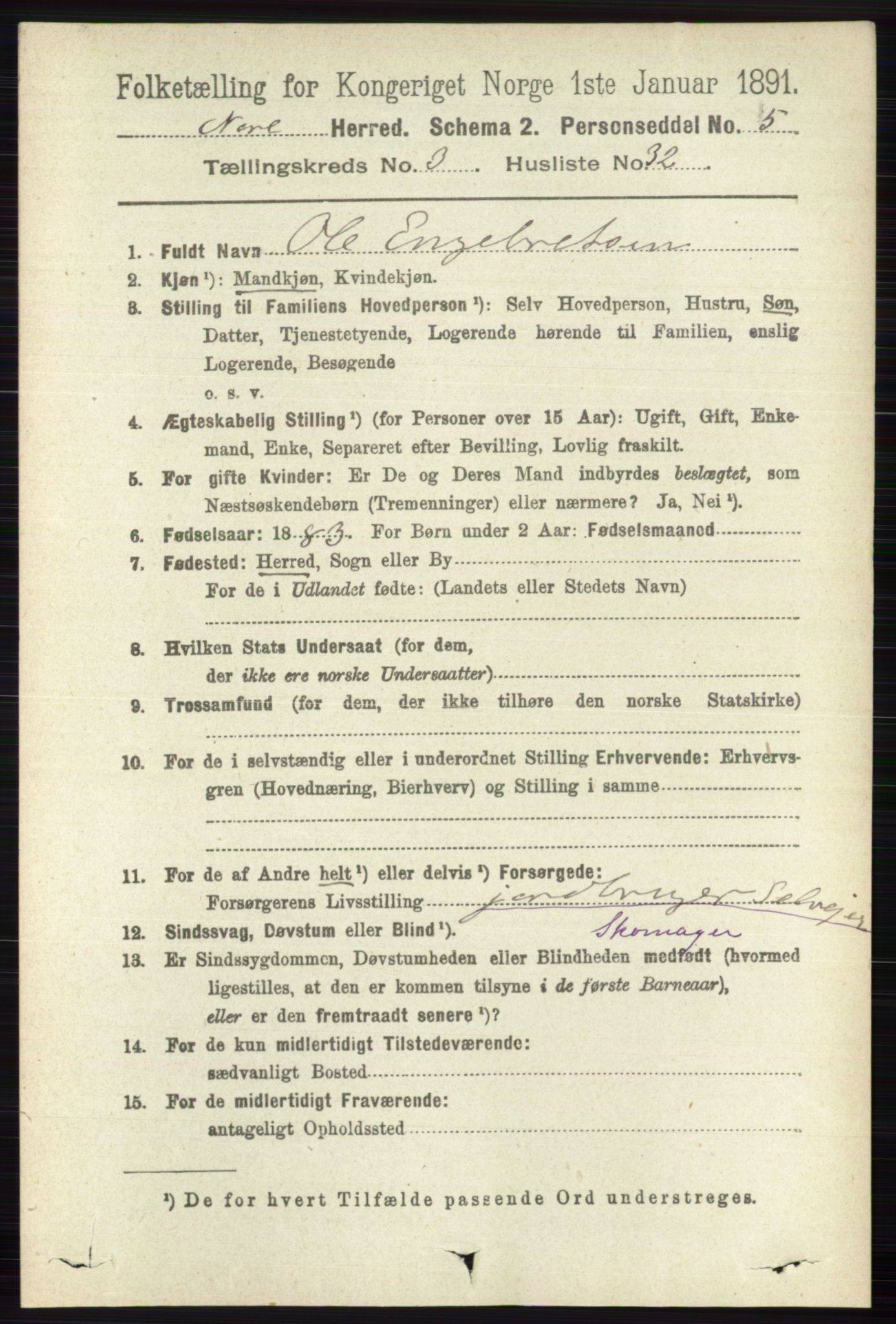 RA, 1891 census for 0633 Nore, 1891, p. 902