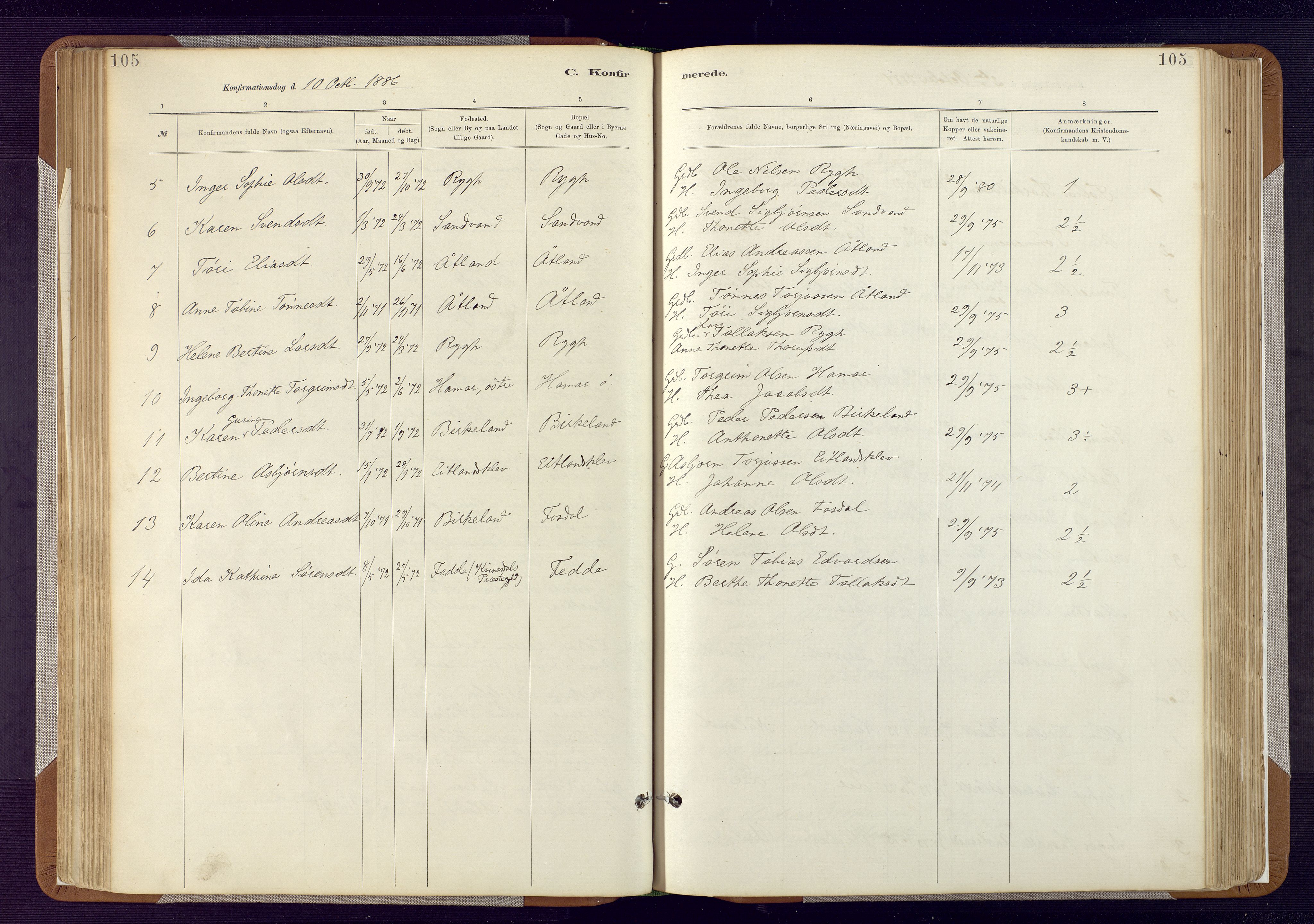 Bakke sokneprestkontor, AV/SAK-1111-0002/F/Fa/Fab/L0003: Parish register (official) no. A 3, 1884-1921, p. 105