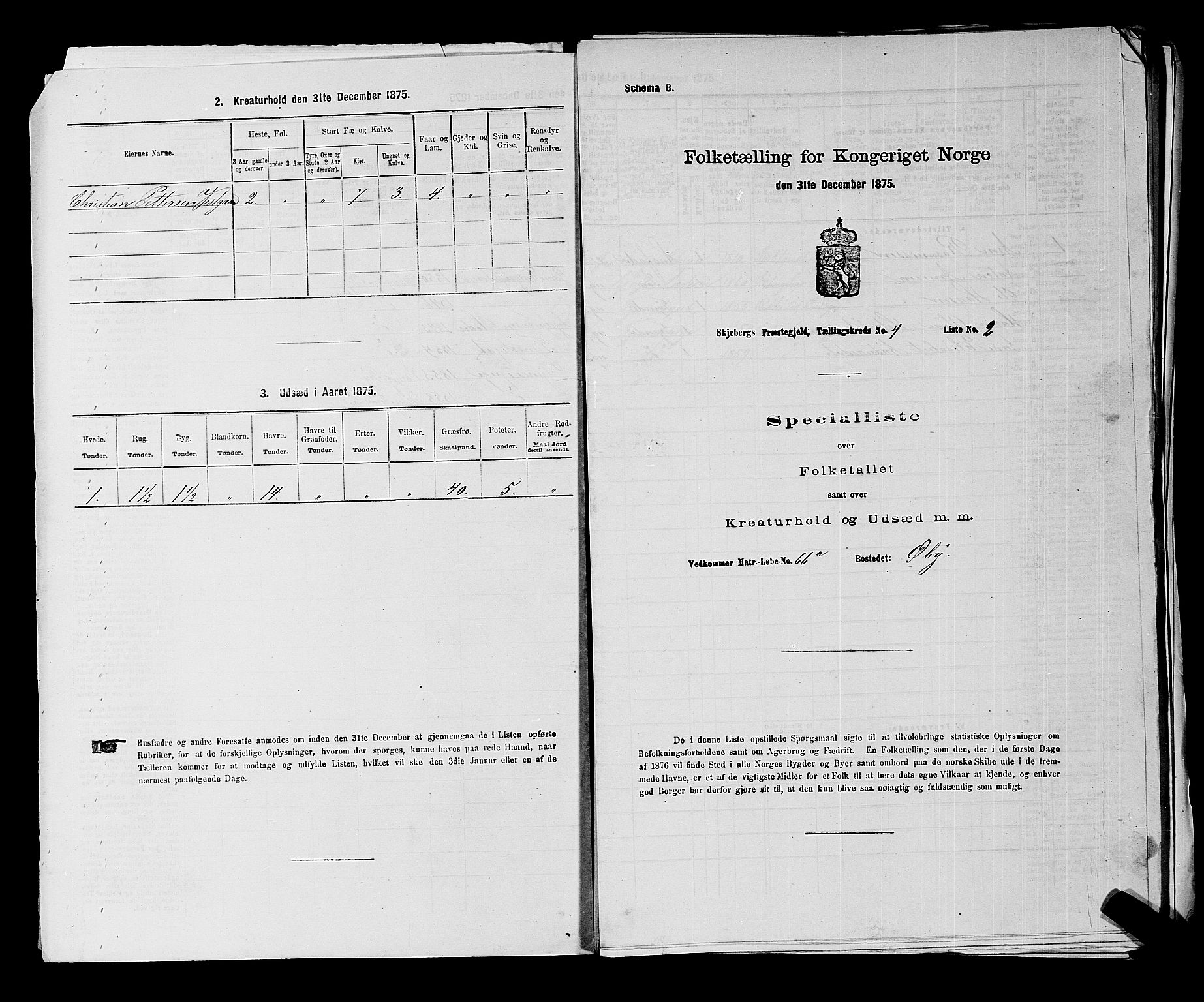 RA, 1875 census for 0115P Skjeberg, 1875, p. 713
