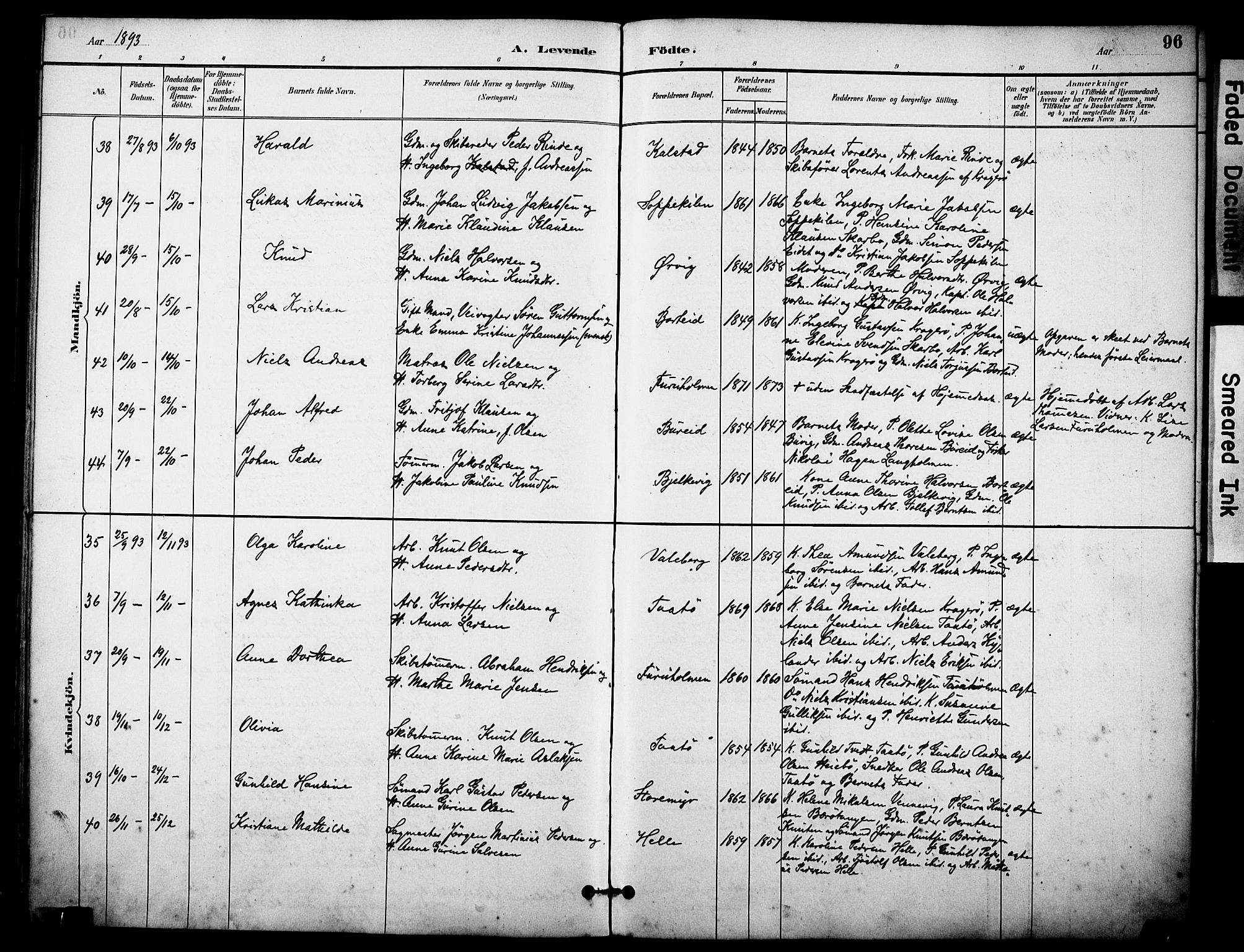 Skåtøy kirkebøker, SAKO/A-304/F/Fa/L0002: Parish register (official) no. I 2, 1884-1899, p. 96