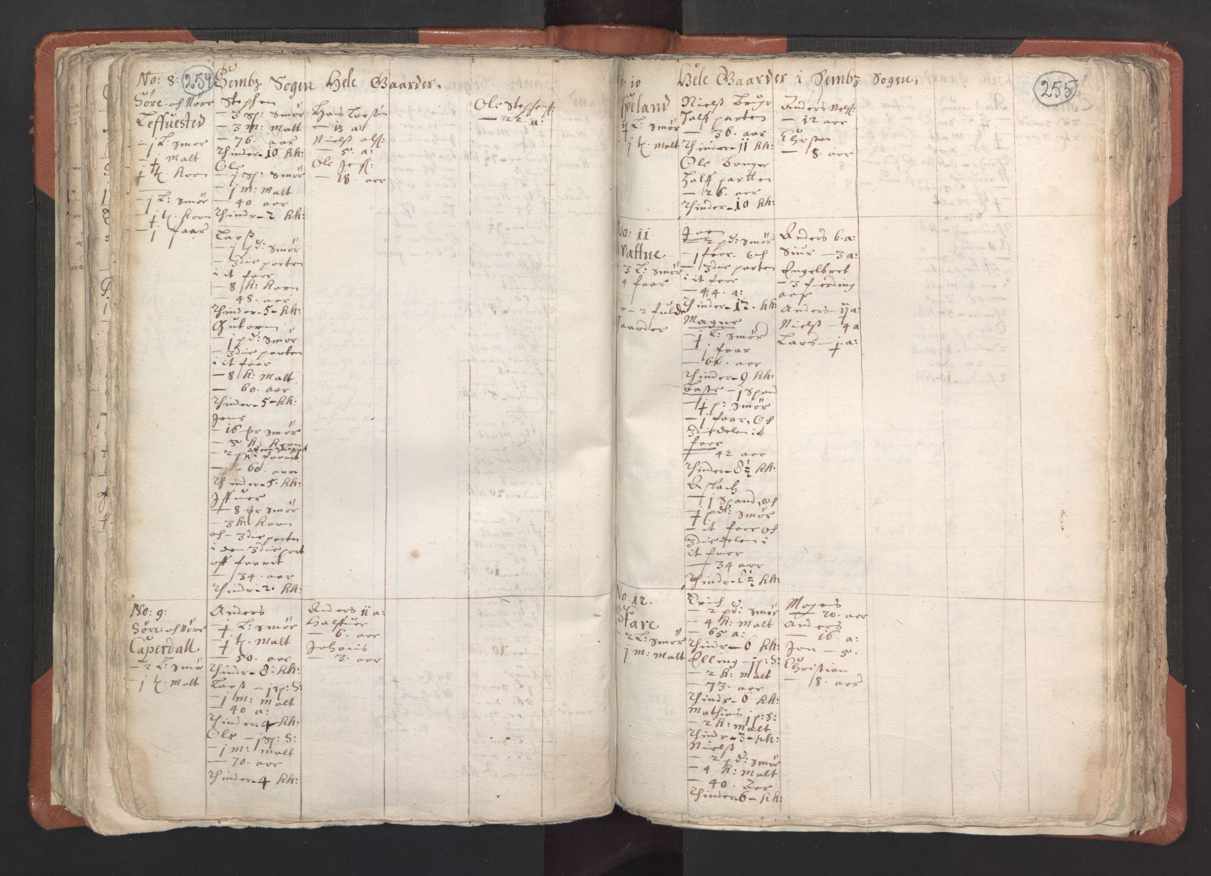 RA, Vicar's Census 1664-1666, no. 22: Nordhordland deanery, 1664-1666, p. 254-255