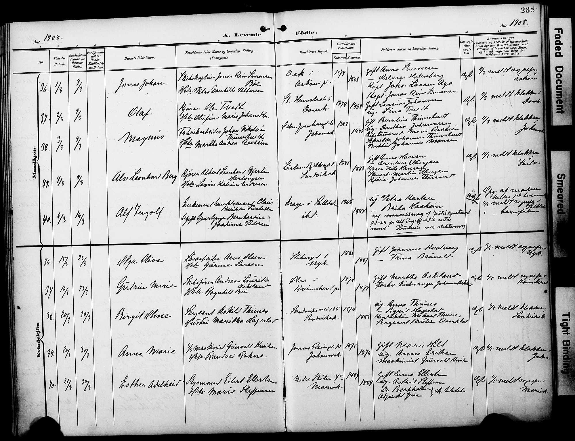 Fødselsstiftelsens sokneprestembete*, SAB/-: Parish register (official) no. A 3, 1901-1910, p. 238
