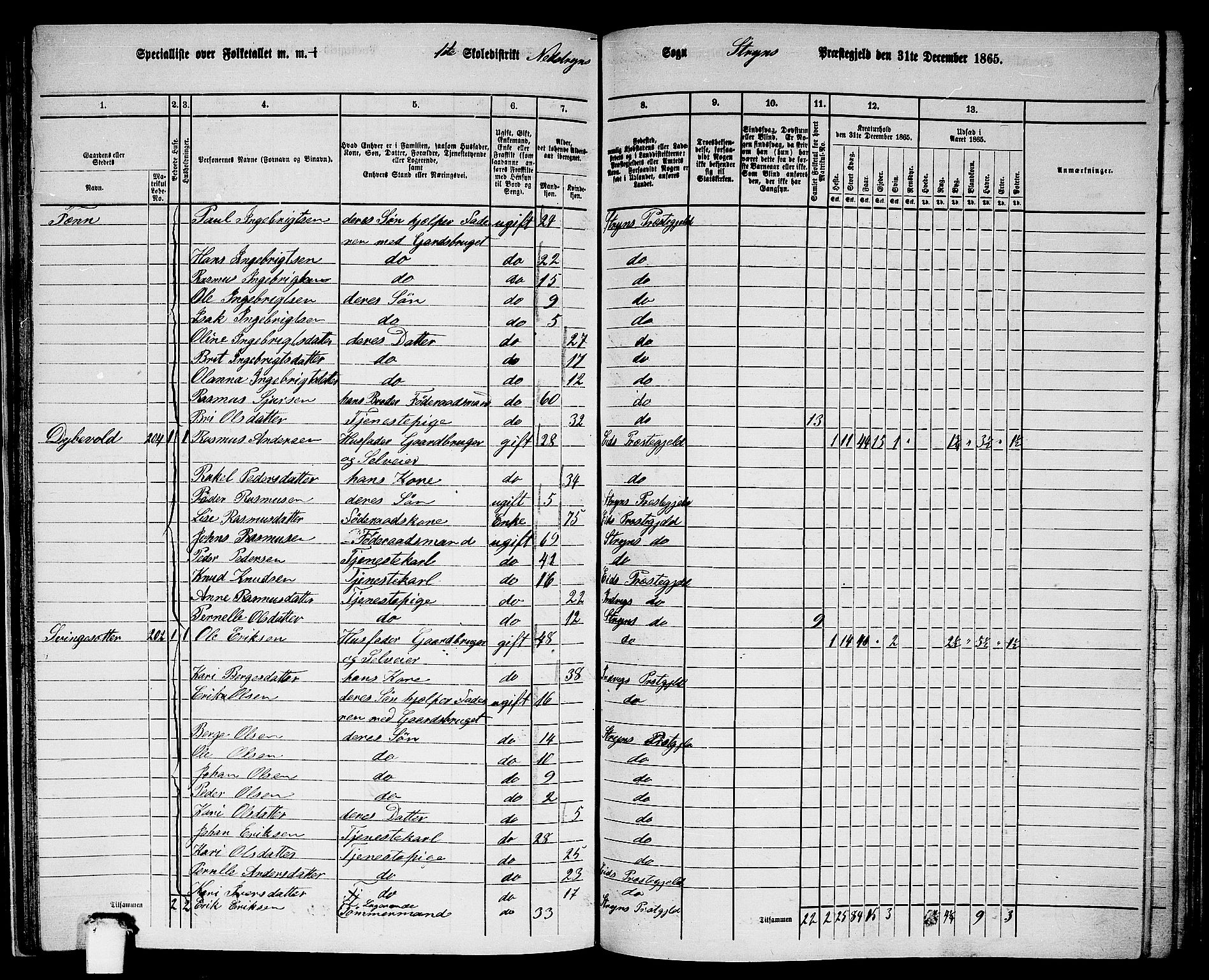 RA, 1865 census for Stryn, 1865, p. 54