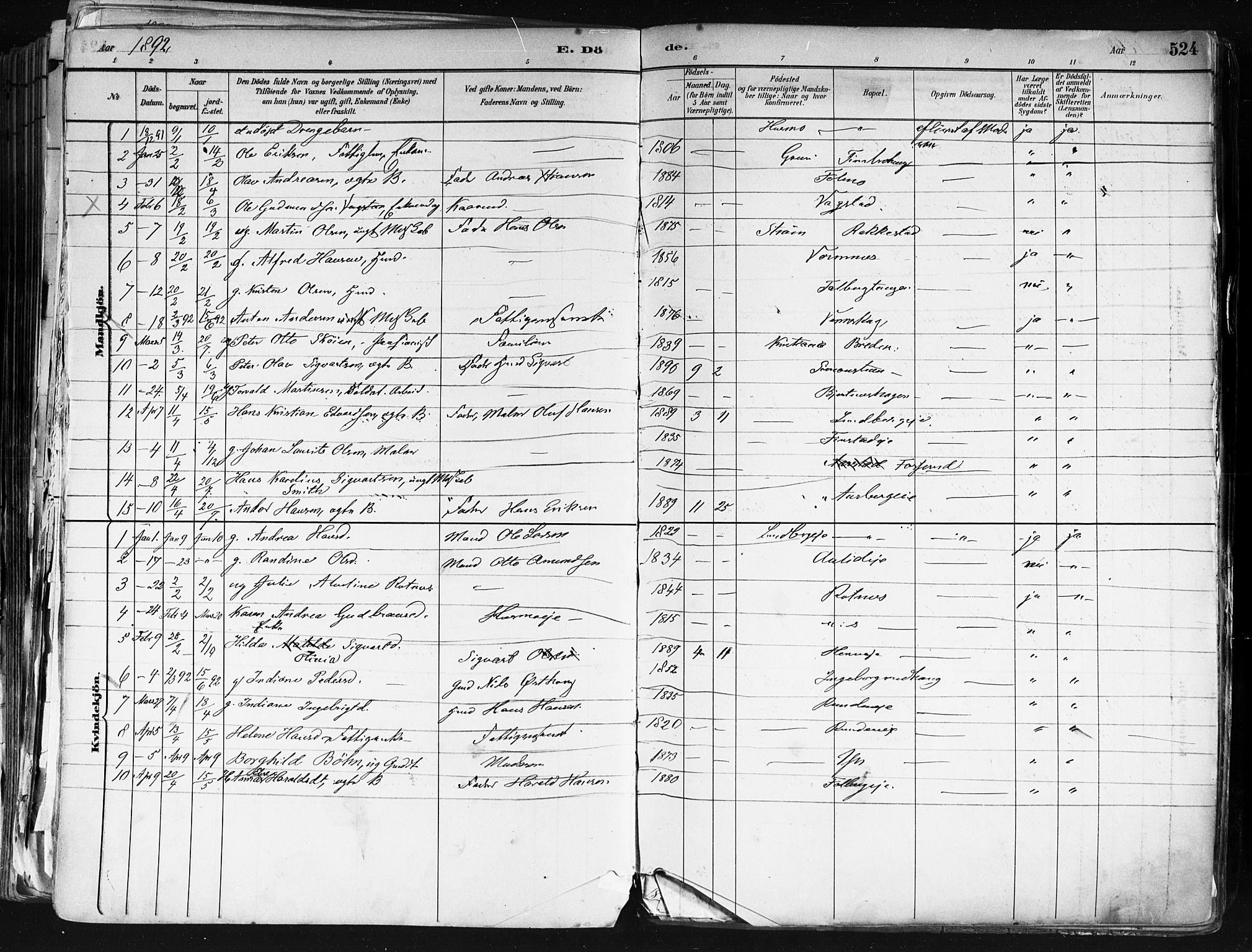Nes prestekontor Kirkebøker, SAO/A-10410/F/Fa/L0010: Parish register (official) no. I 10, 1883-1898, p. 524