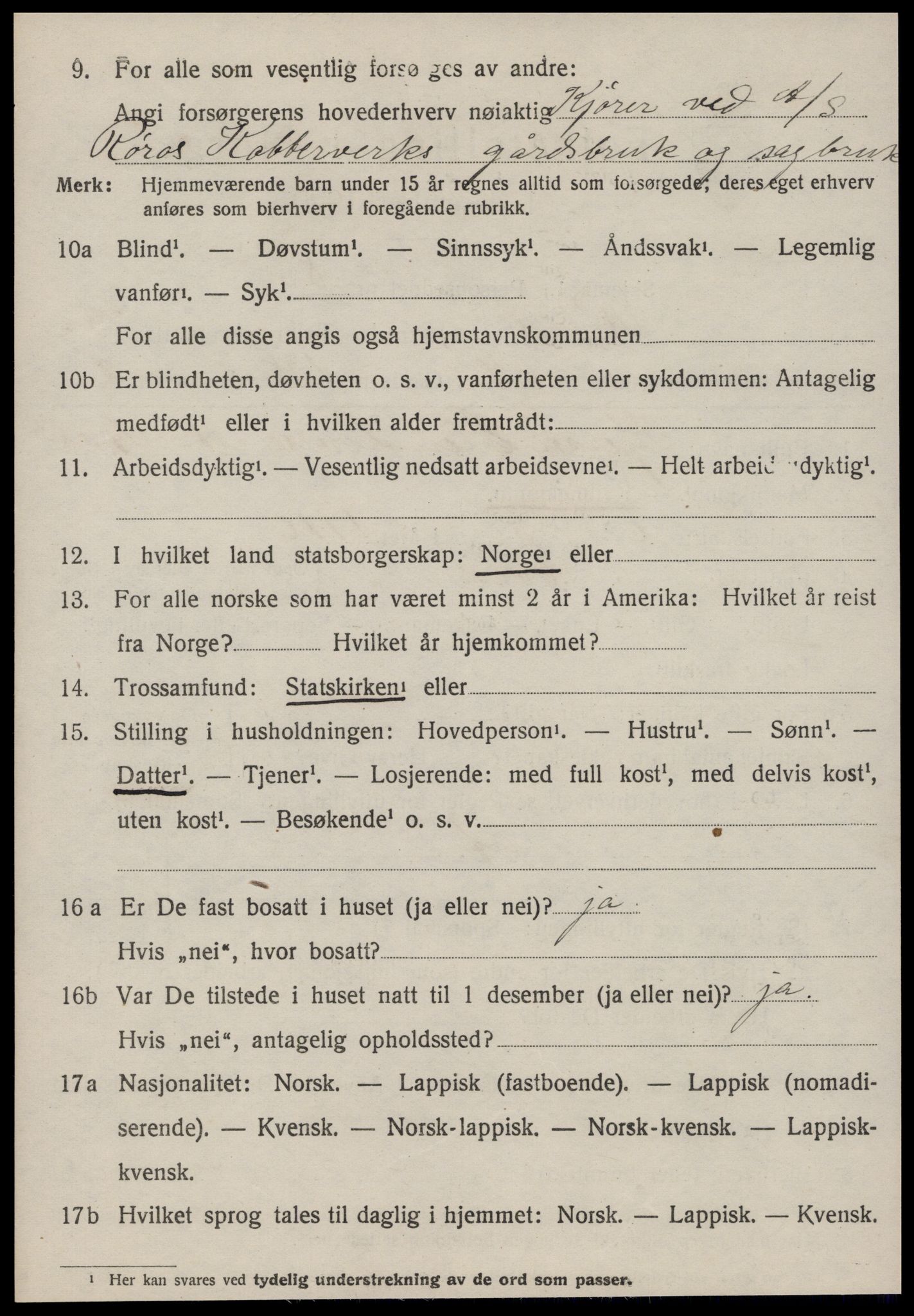 SAT, 1920 census for Røros, 1920, p. 6201