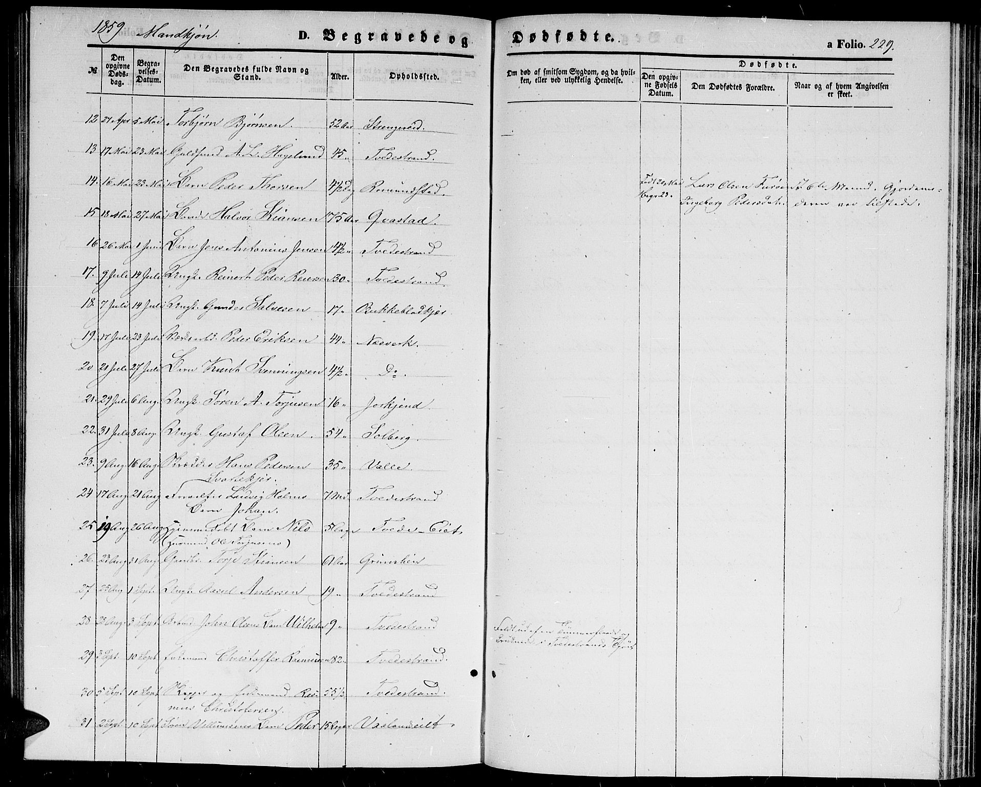 Holt sokneprestkontor, AV/SAK-1111-0021/F/Fb/L0008: Parish register (copy) no. B 8, 1858-1871, p. 229