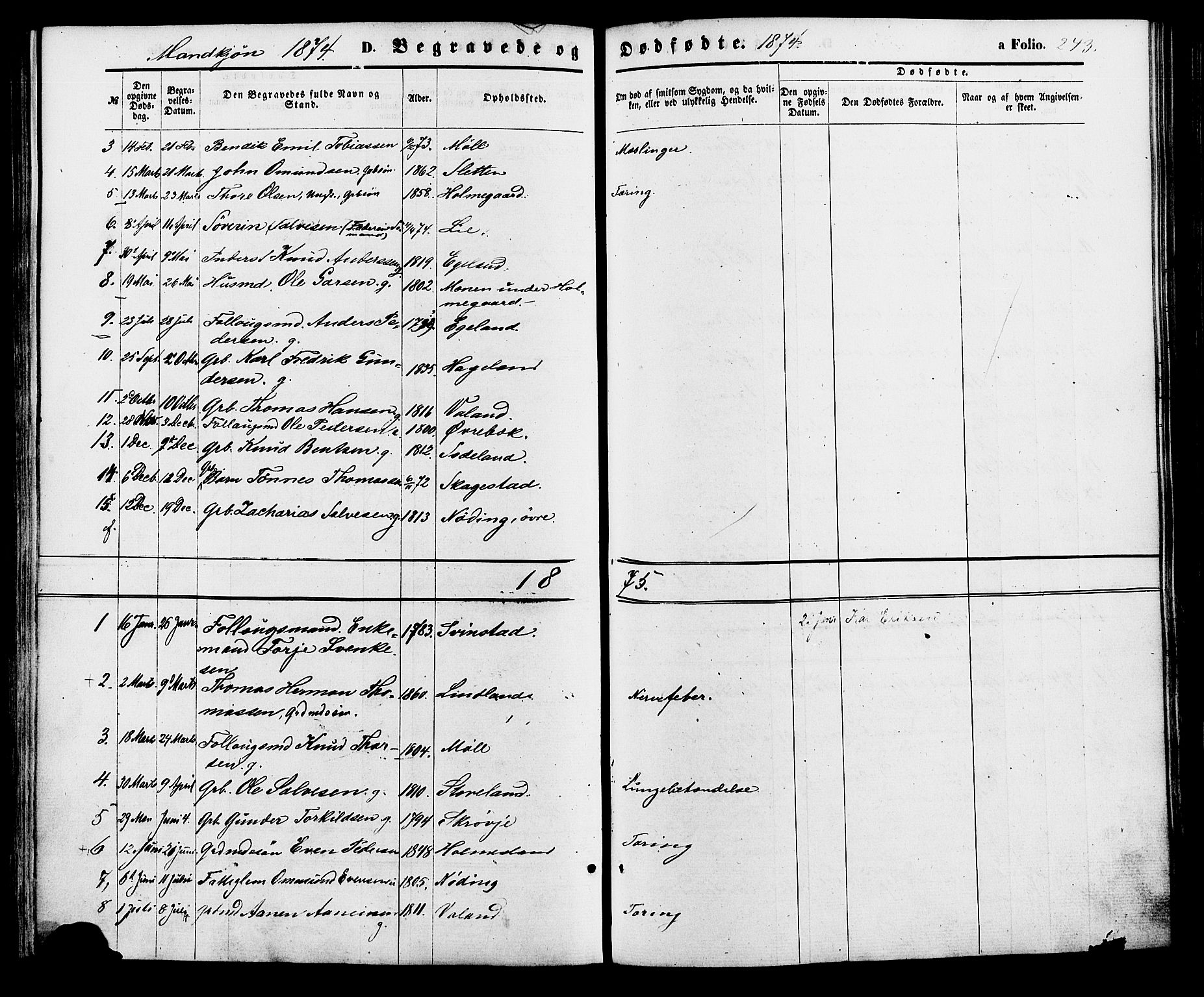 Holum sokneprestkontor, AV/SAK-1111-0022/F/Fa/Faa/L0006: Parish register (official) no. A 6, 1865-1883, p. 243