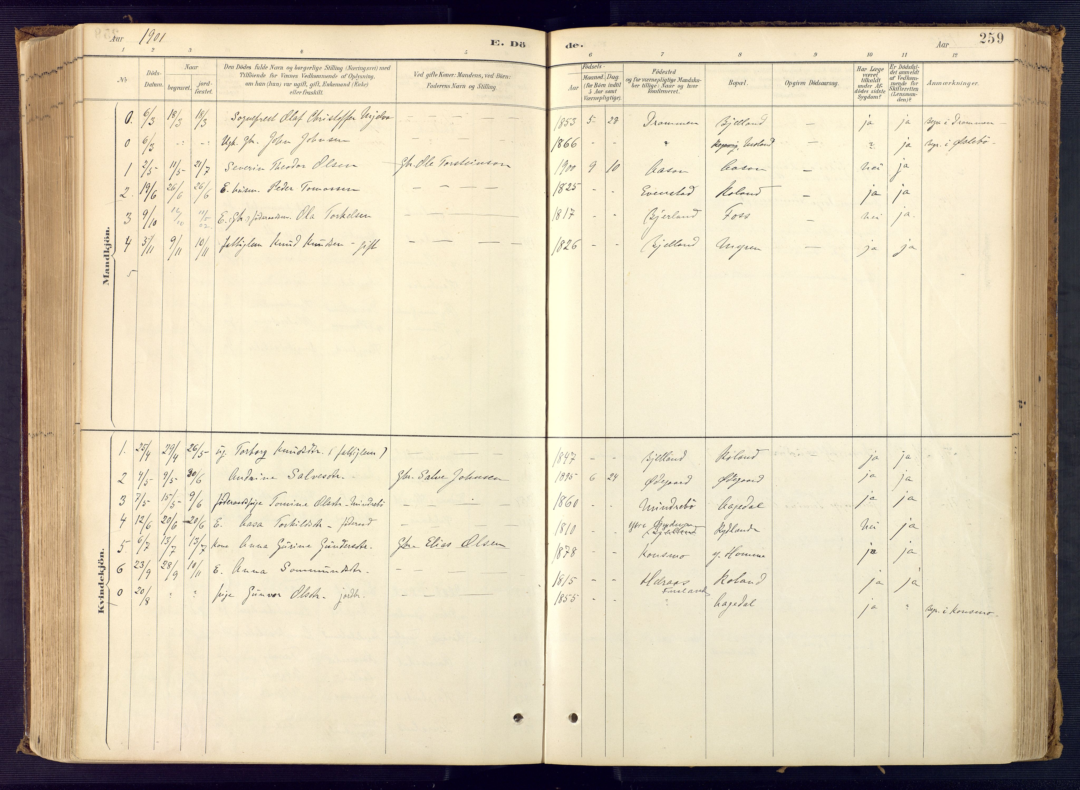 Bjelland sokneprestkontor, SAK/1111-0005/F/Fa/Faa/L0004: Parish register (official) no. A 4, 1887-1923, p. 259