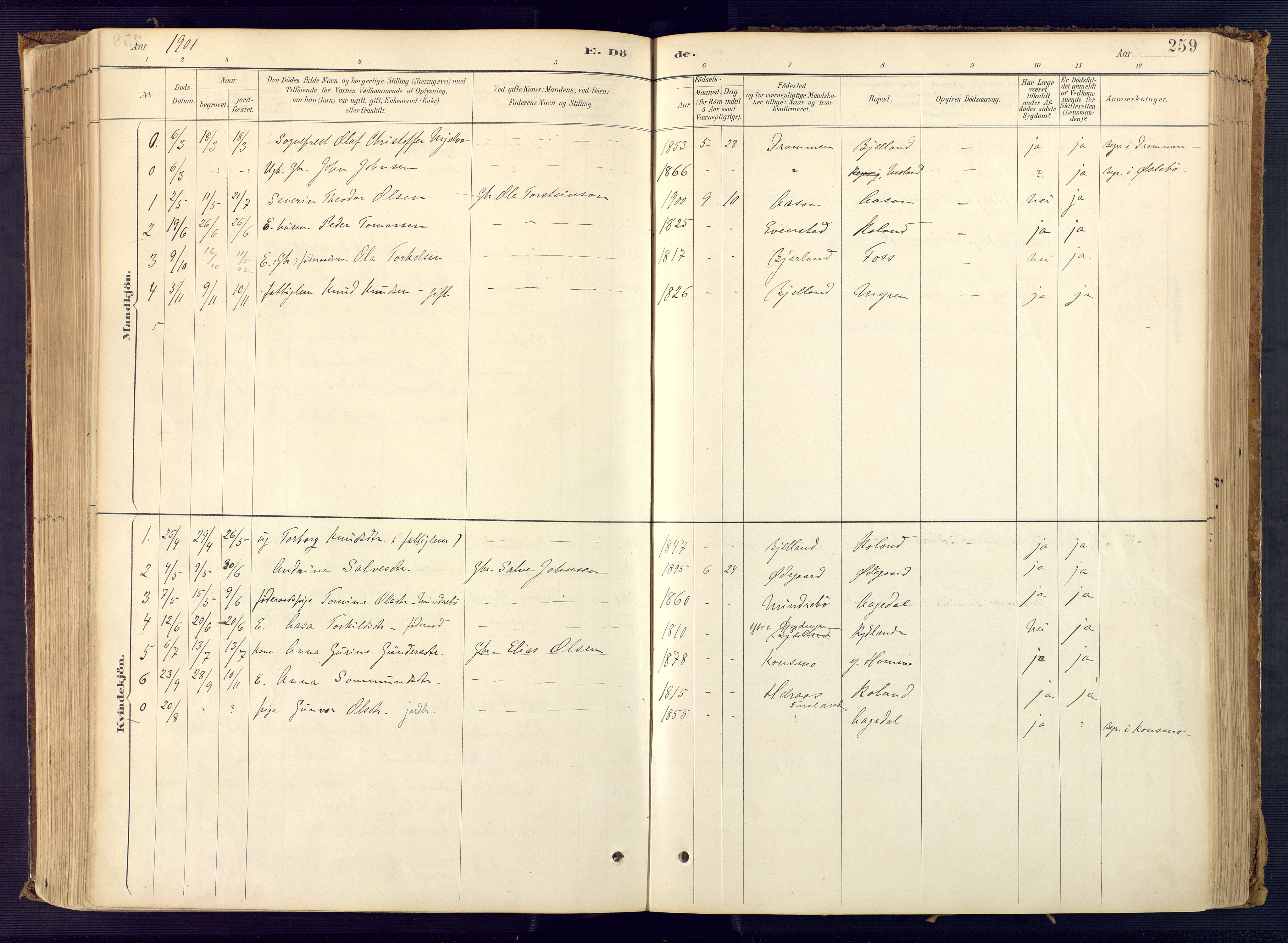 Bjelland sokneprestkontor, AV/SAK-1111-0005/F/Fa/Faa/L0004: Parish register (official) no. A 4, 1887-1923, p. 259