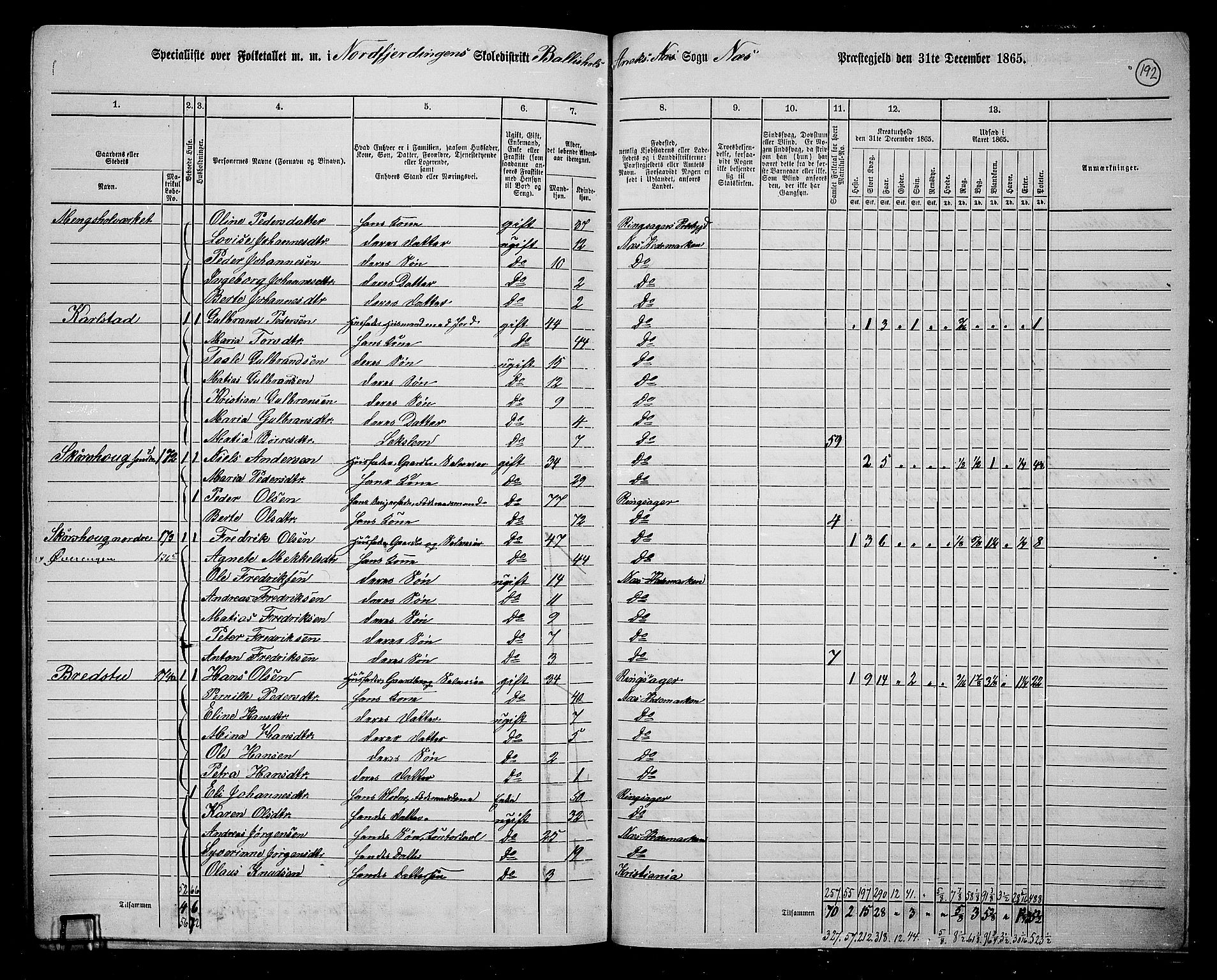 RA, 1865 census for Nes, 1865, p. 166