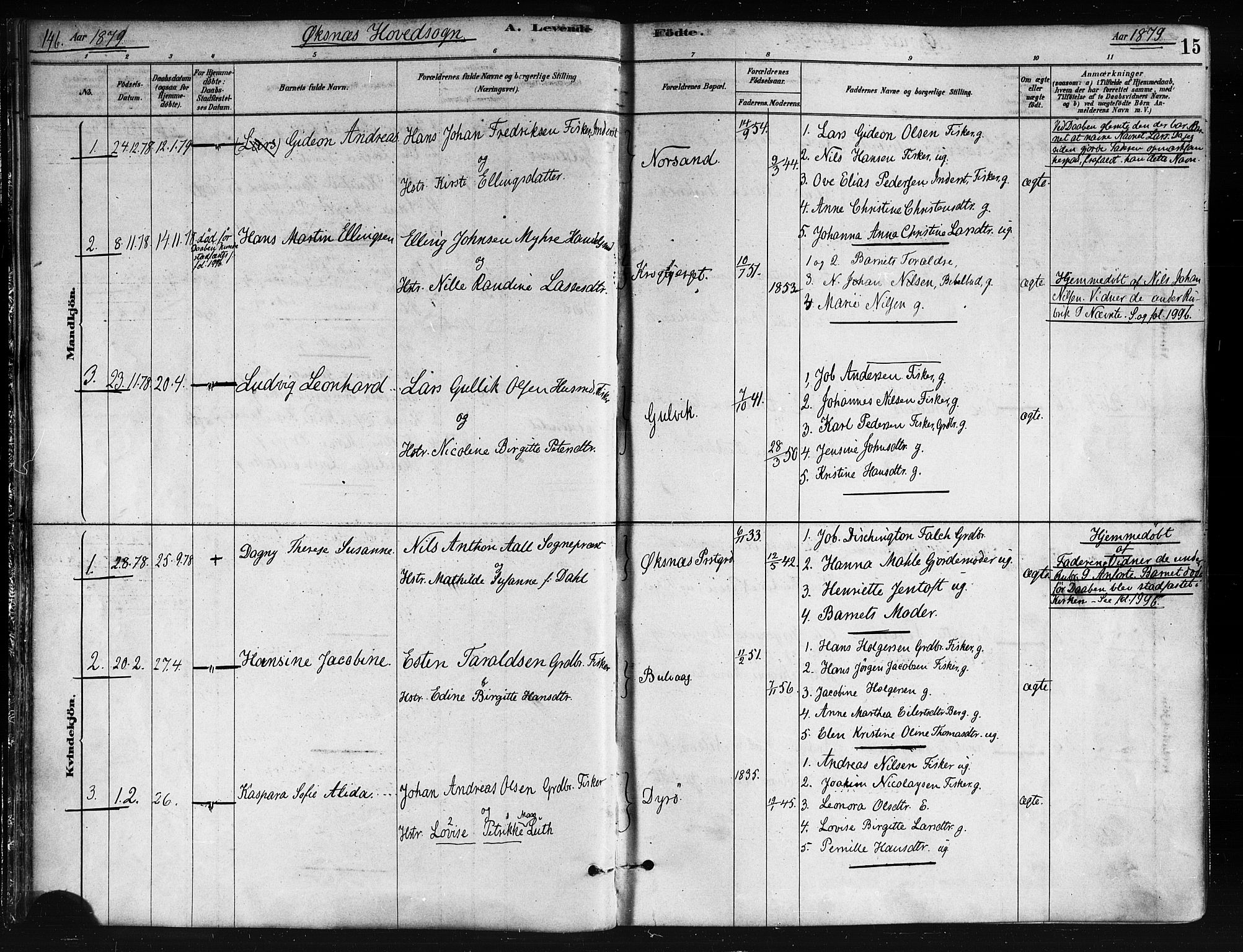 Ministerialprotokoller, klokkerbøker og fødselsregistre - Nordland, AV/SAT-A-1459/893/L1335: Parish register (official) no. 893A08 /1, 1878-1884, p. 15