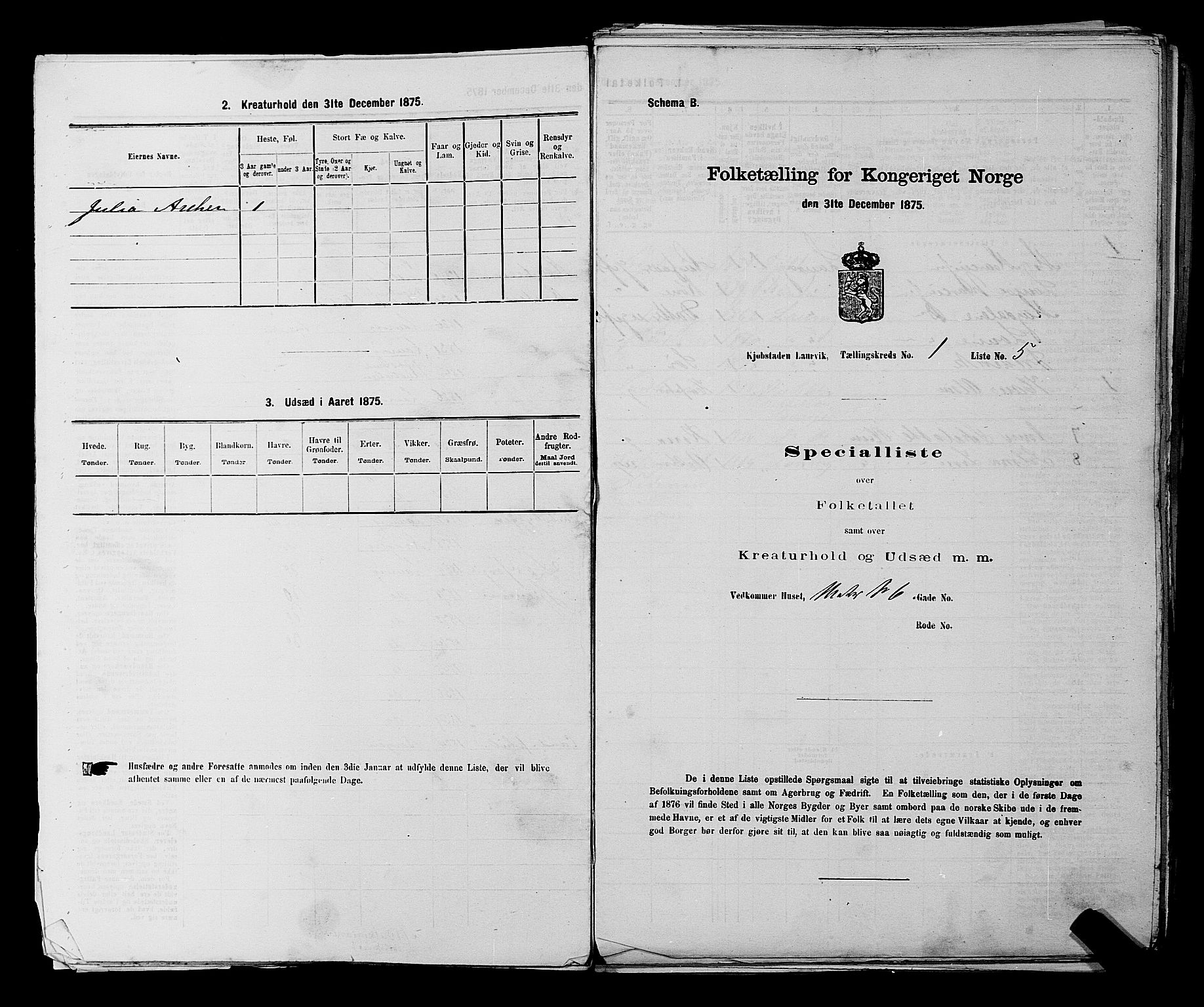 SAKO, 1875 census for 0707P Larvik, 1875, p. 38