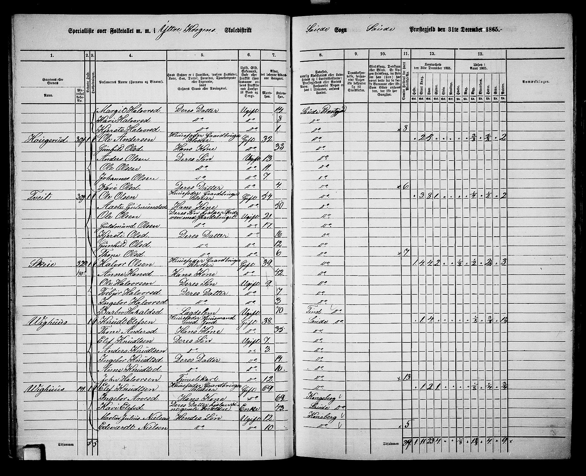 RA, 1865 census for Sauherad, 1865, p. 29