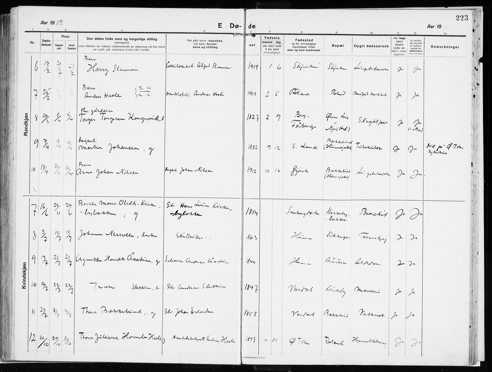 Vardal prestekontor, SAH/PREST-100/H/Ha/Haa/L0017: Parish register (official) no. 17, 1915-1929, p. 223