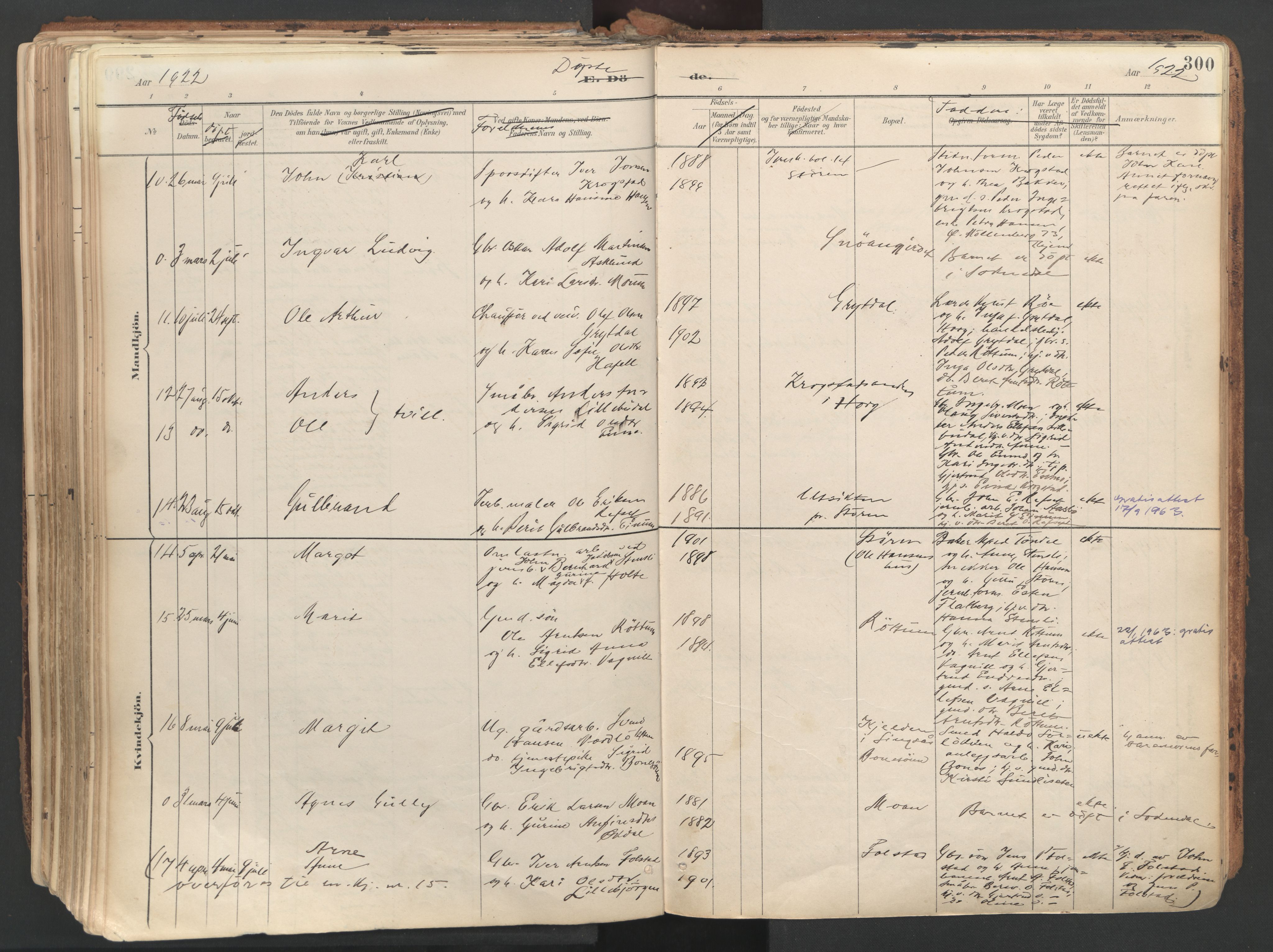 Ministerialprotokoller, klokkerbøker og fødselsregistre - Sør-Trøndelag, SAT/A-1456/687/L1004: Parish register (official) no. 687A10, 1891-1923, p. 300