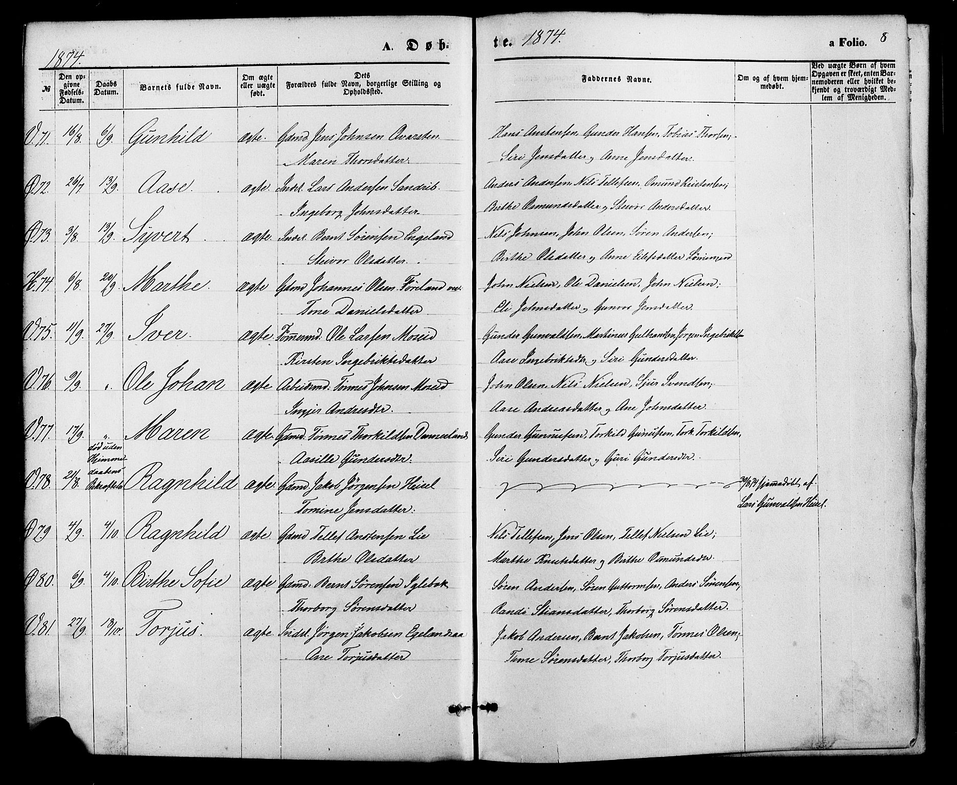 Vennesla sokneprestkontor, AV/SAK-1111-0045/Fa/Fac/L0008: Parish register (official) no. A 8, 1874-1883, p. 8