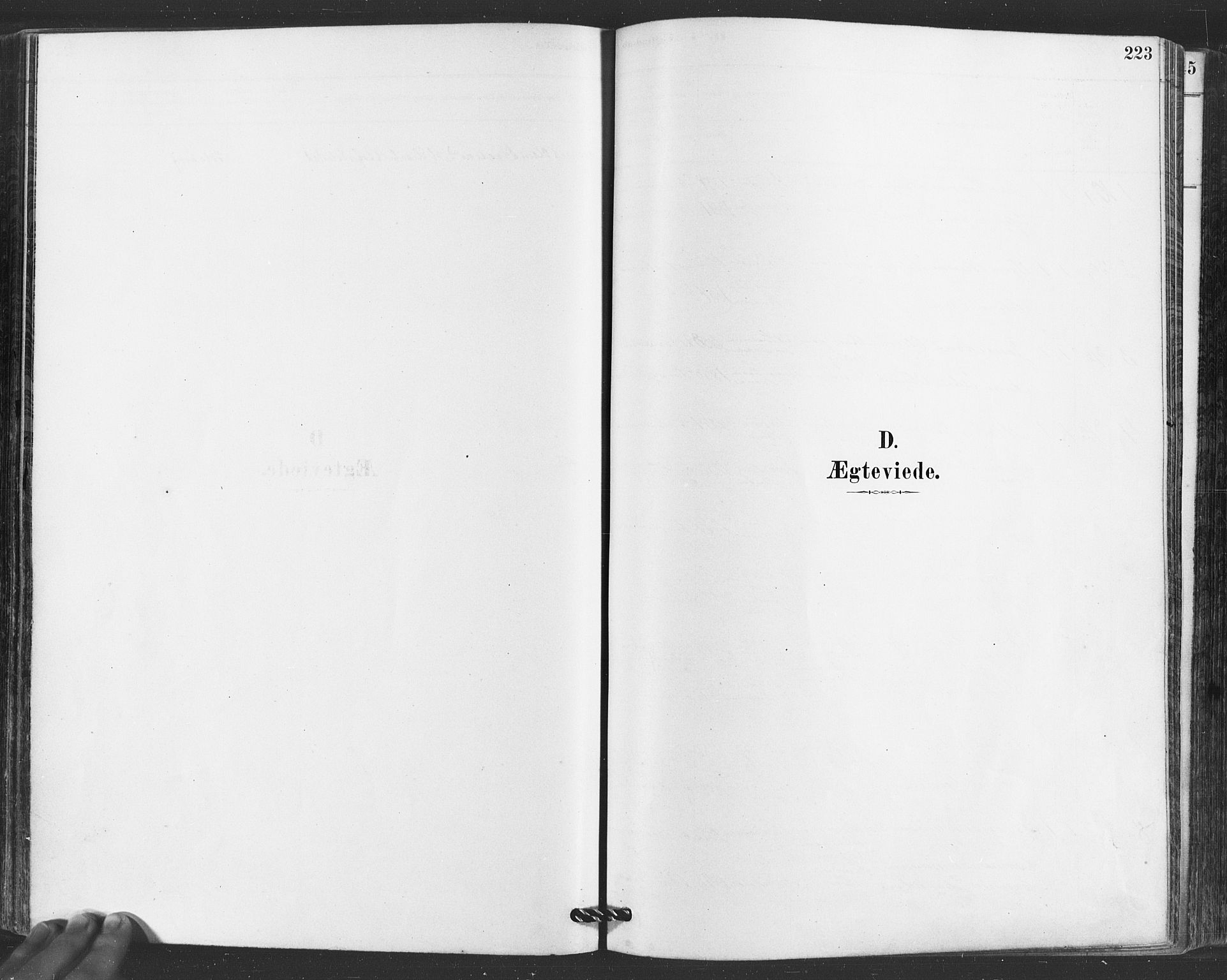 Hvaler prestekontor Kirkebøker, SAO/A-2001/F/Fa/L0008: Parish register (official) no. I 8, 1878-1895, p. 223