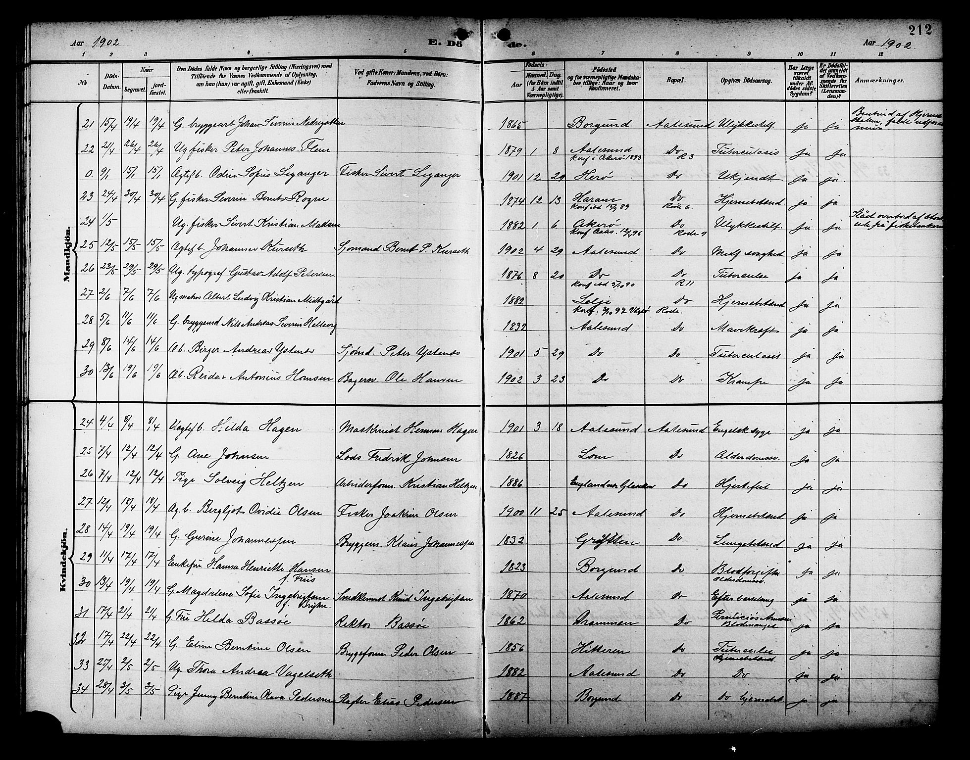 Ministerialprotokoller, klokkerbøker og fødselsregistre - Møre og Romsdal, AV/SAT-A-1454/529/L0469: Parish register (copy) no. 529C06, 1898-1906, p. 212