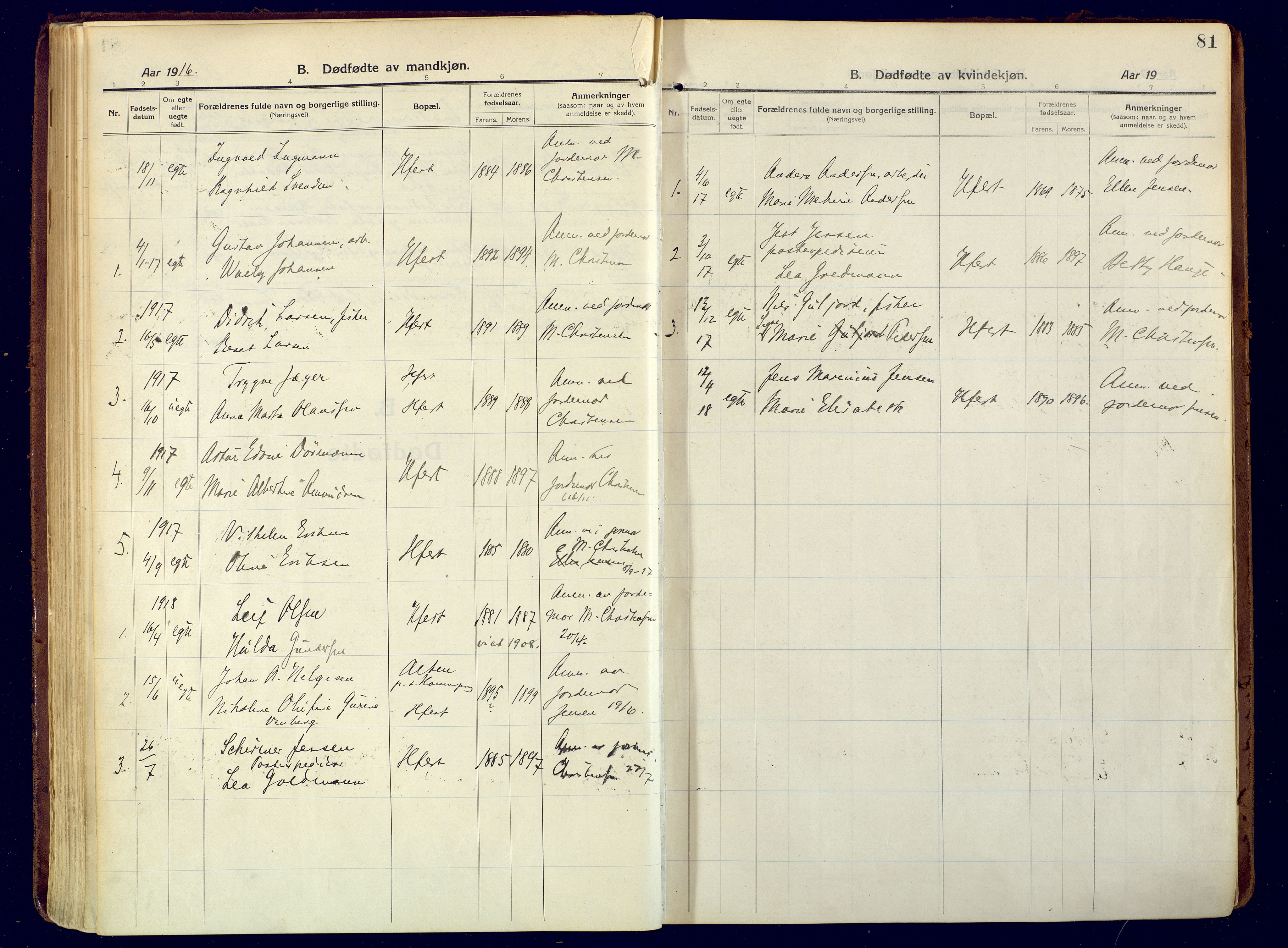 Hammerfest sokneprestkontor, SATØ/S-1347/H/Ha/L0015.kirke: Parish register (official) no. 15, 1916-1923, p. 81