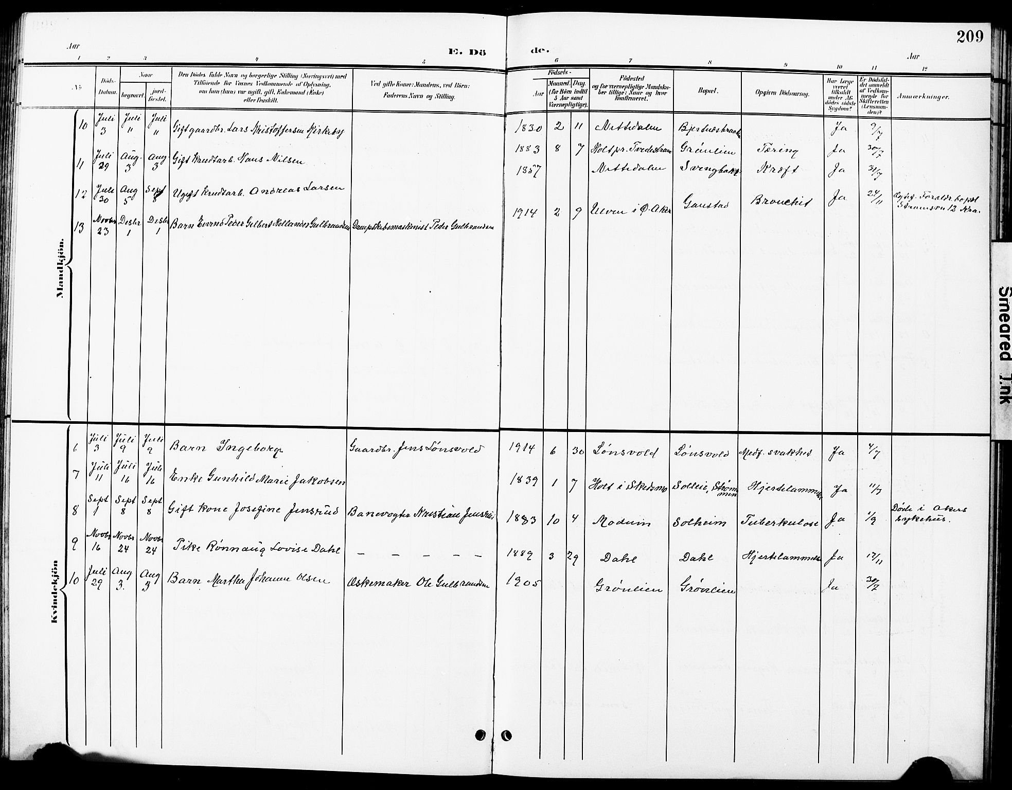 Nittedal prestekontor Kirkebøker, SAO/A-10365a/G/Ga/L0003: Parish register (copy) no. I 3, 1902-1929, p. 209