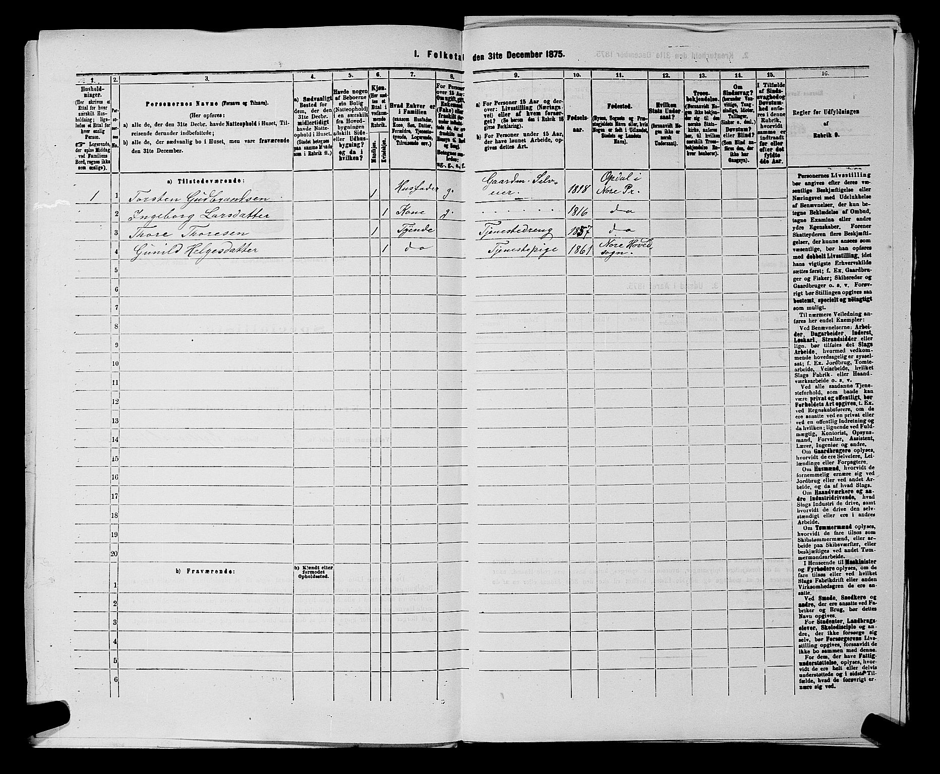 SAKO, 1875 census for 0633P Nore, 1875, p. 597
