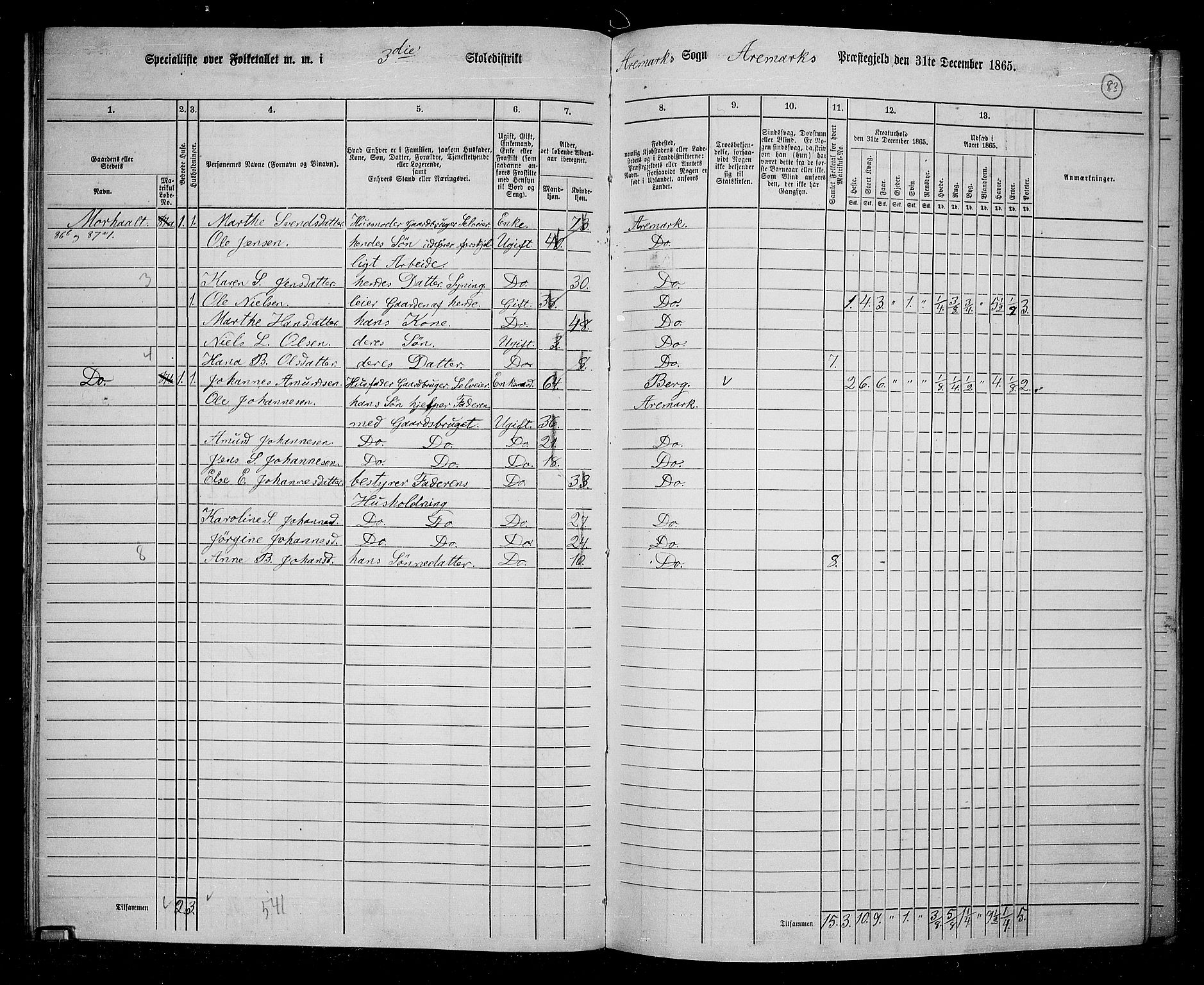 RA, 1865 census for Aremark, 1865, p. 78