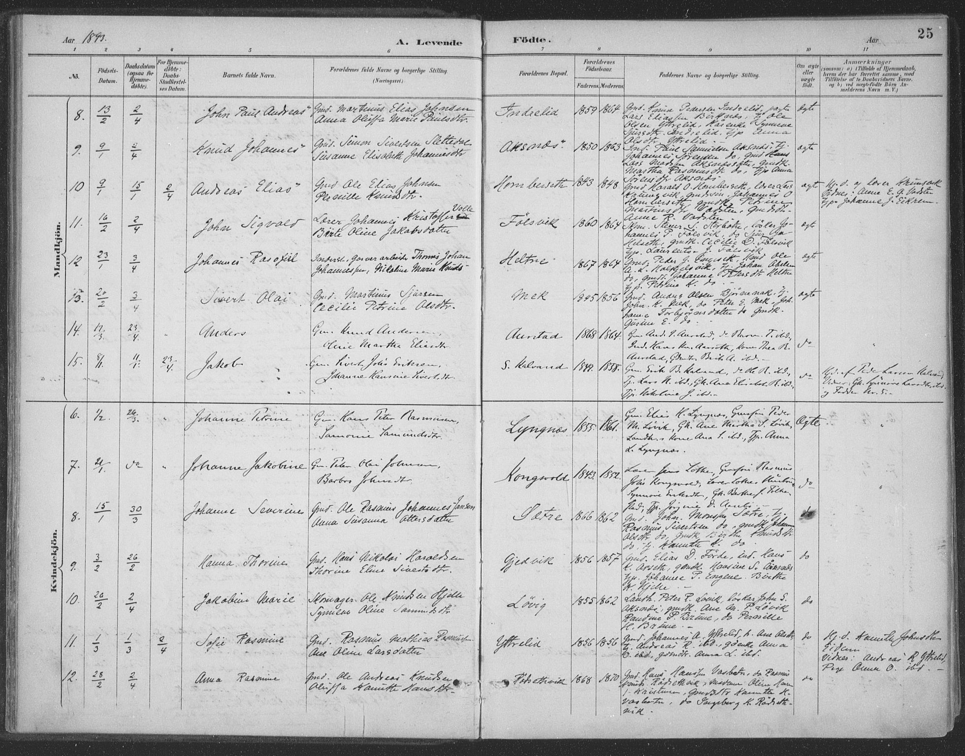 Ministerialprotokoller, klokkerbøker og fødselsregistre - Møre og Romsdal, AV/SAT-A-1454/511/L0142: Parish register (official) no. 511A09, 1891-1905, p. 25