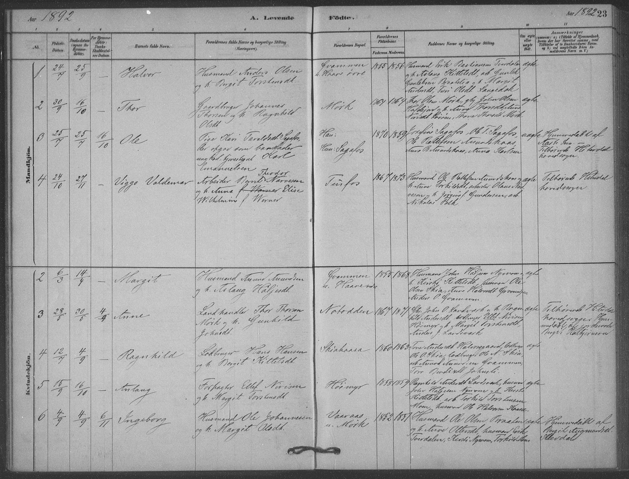Heddal kirkebøker, SAKO/A-268/F/Fb/L0002: Parish register (official) no. II 2, 1878-1913, p. 23