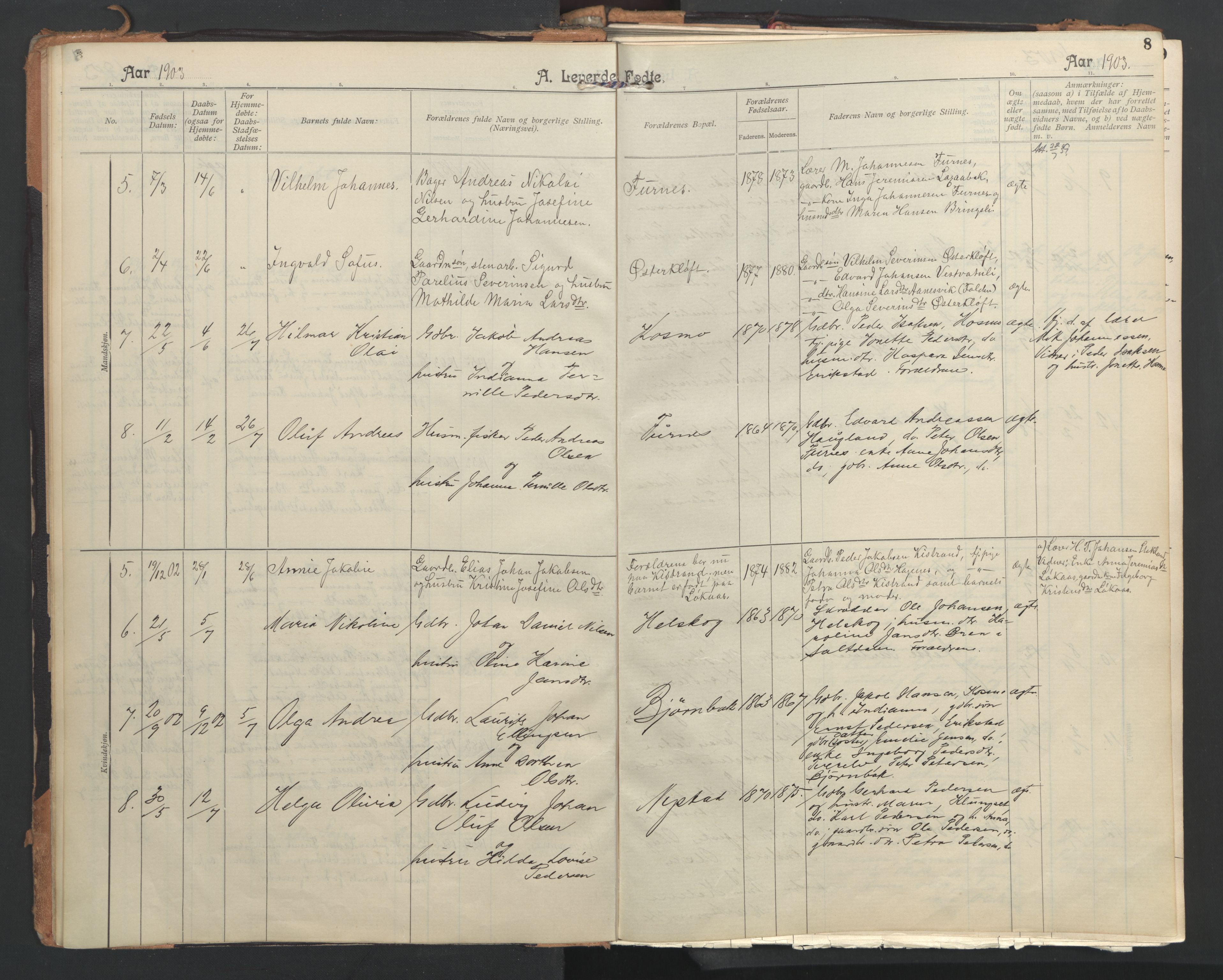 Ministerialprotokoller, klokkerbøker og fødselsregistre - Nordland, AV/SAT-A-1459/851/L0724: Parish register (official) no. 851A01, 1901-1922, p. 8