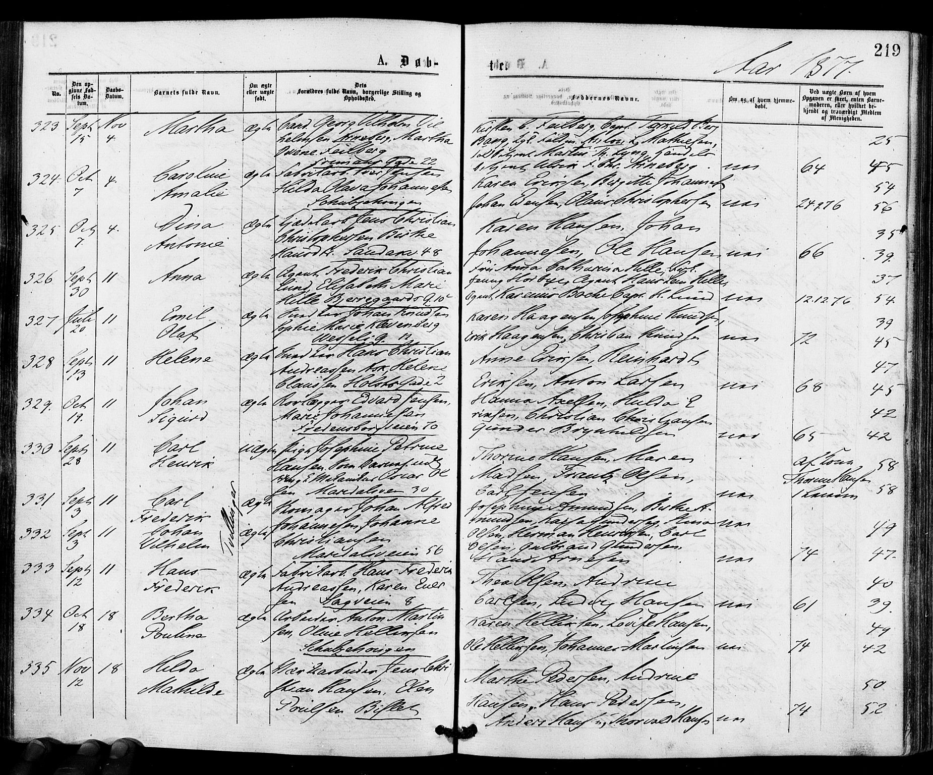 Gamle Aker prestekontor Kirkebøker, AV/SAO-A-10617a/F/L0004: Parish register (official) no. 4, 1872-1879, p. 219